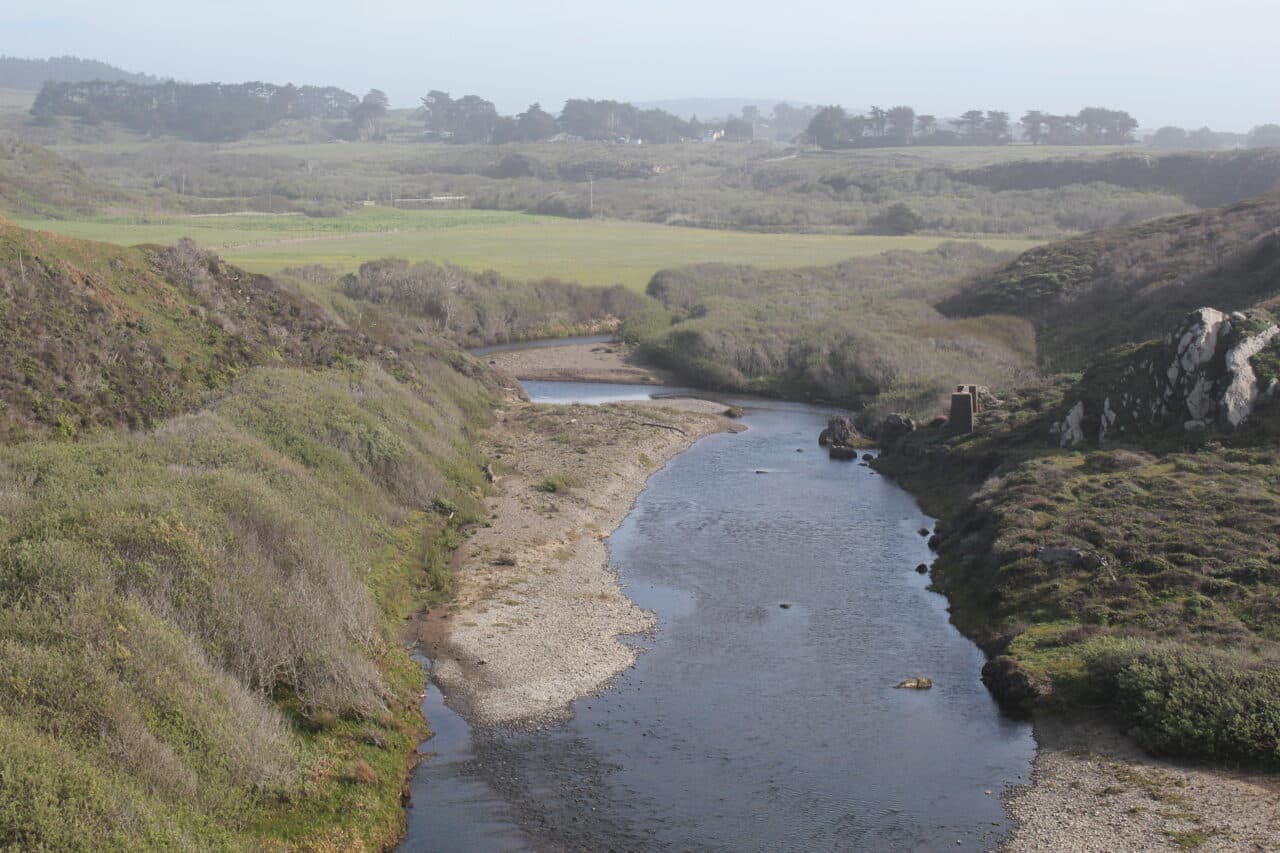 Listing Image 51