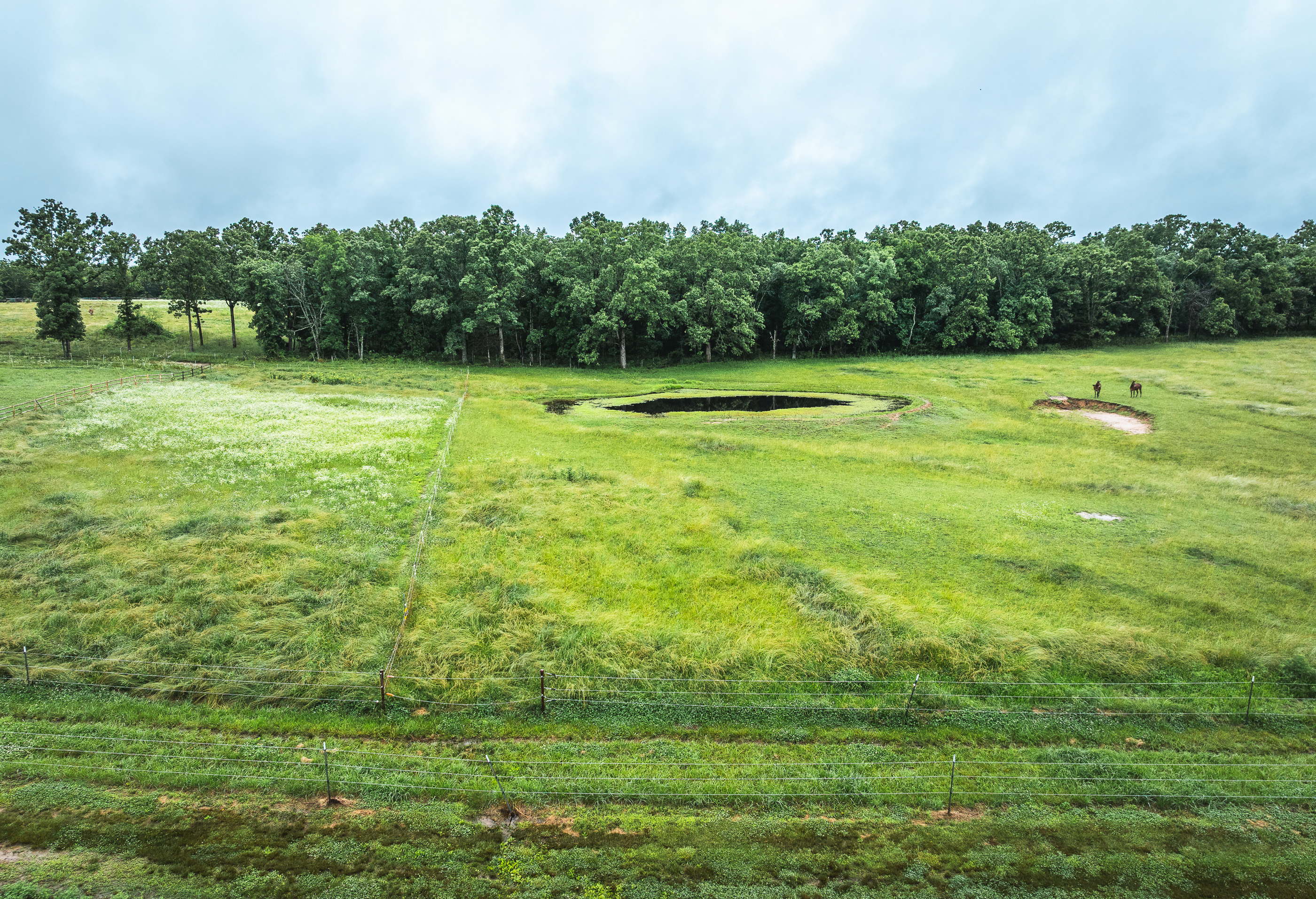 T-Cross Farm
