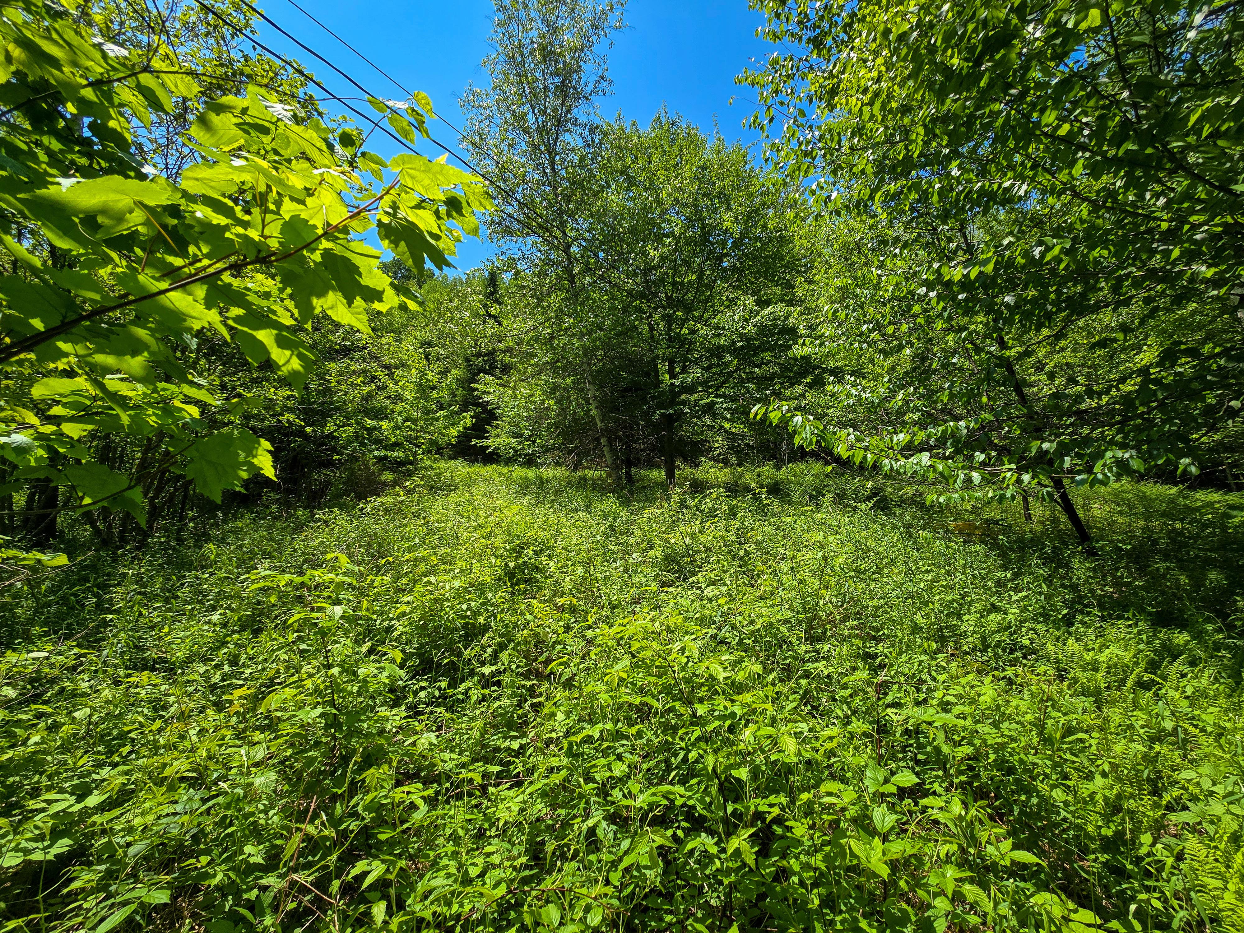 150 Spur Rd - Bloomfield