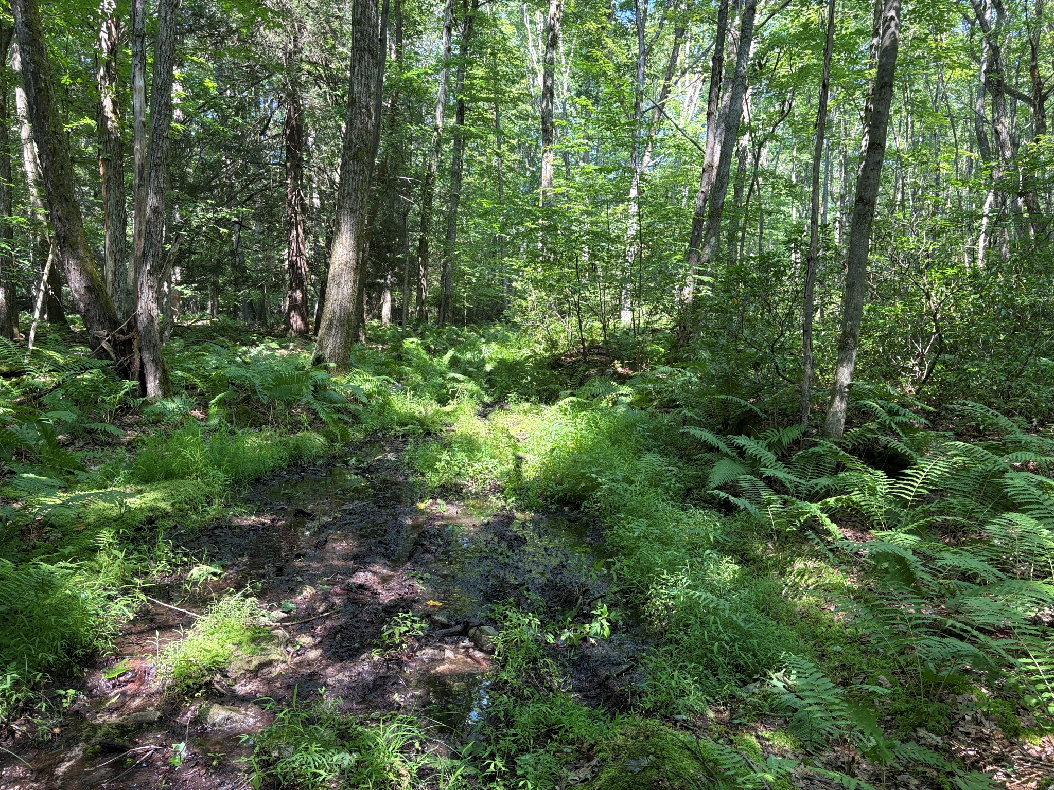Listing Image 45