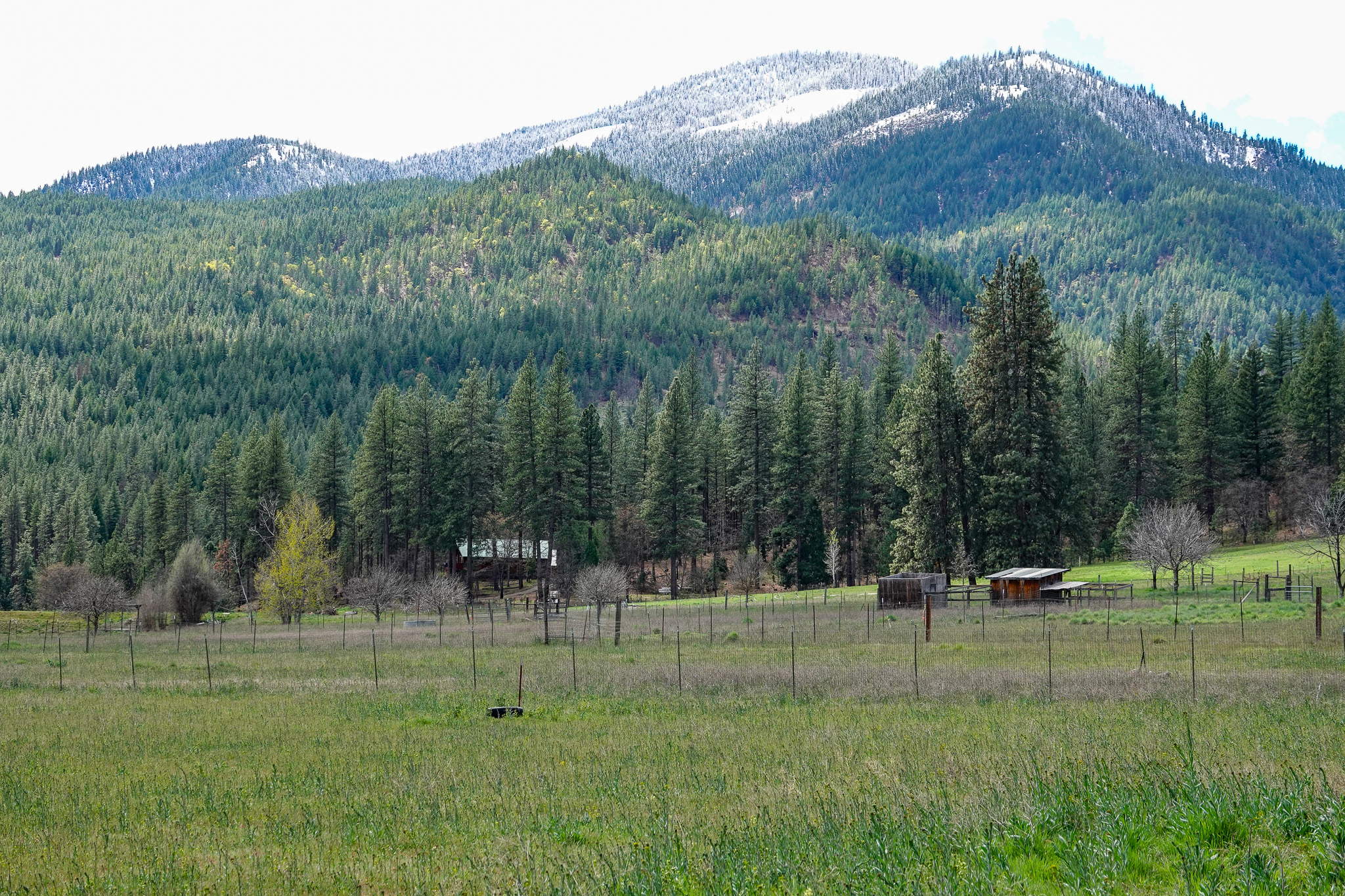 Listing Image 37