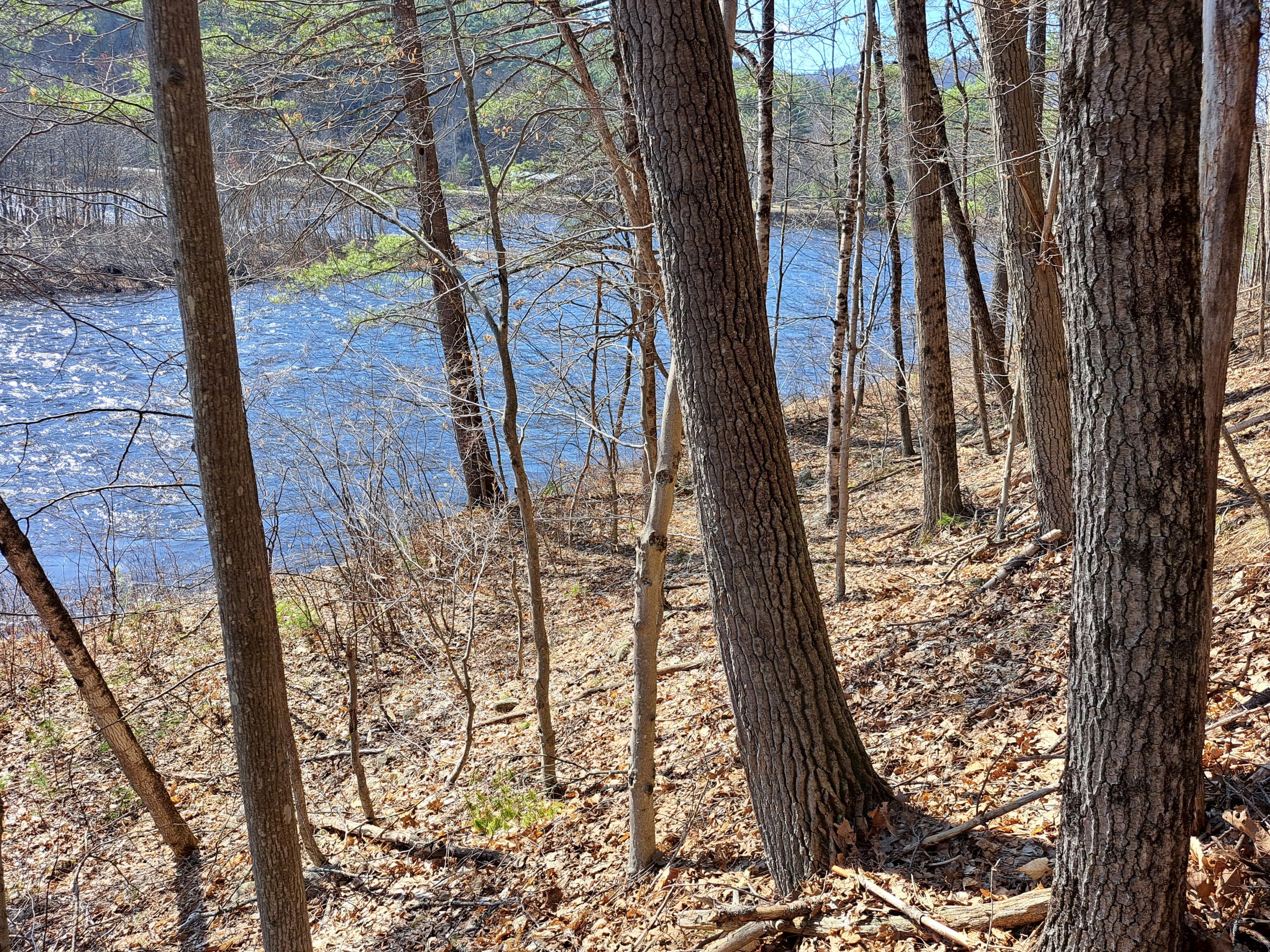 Listing Image 17