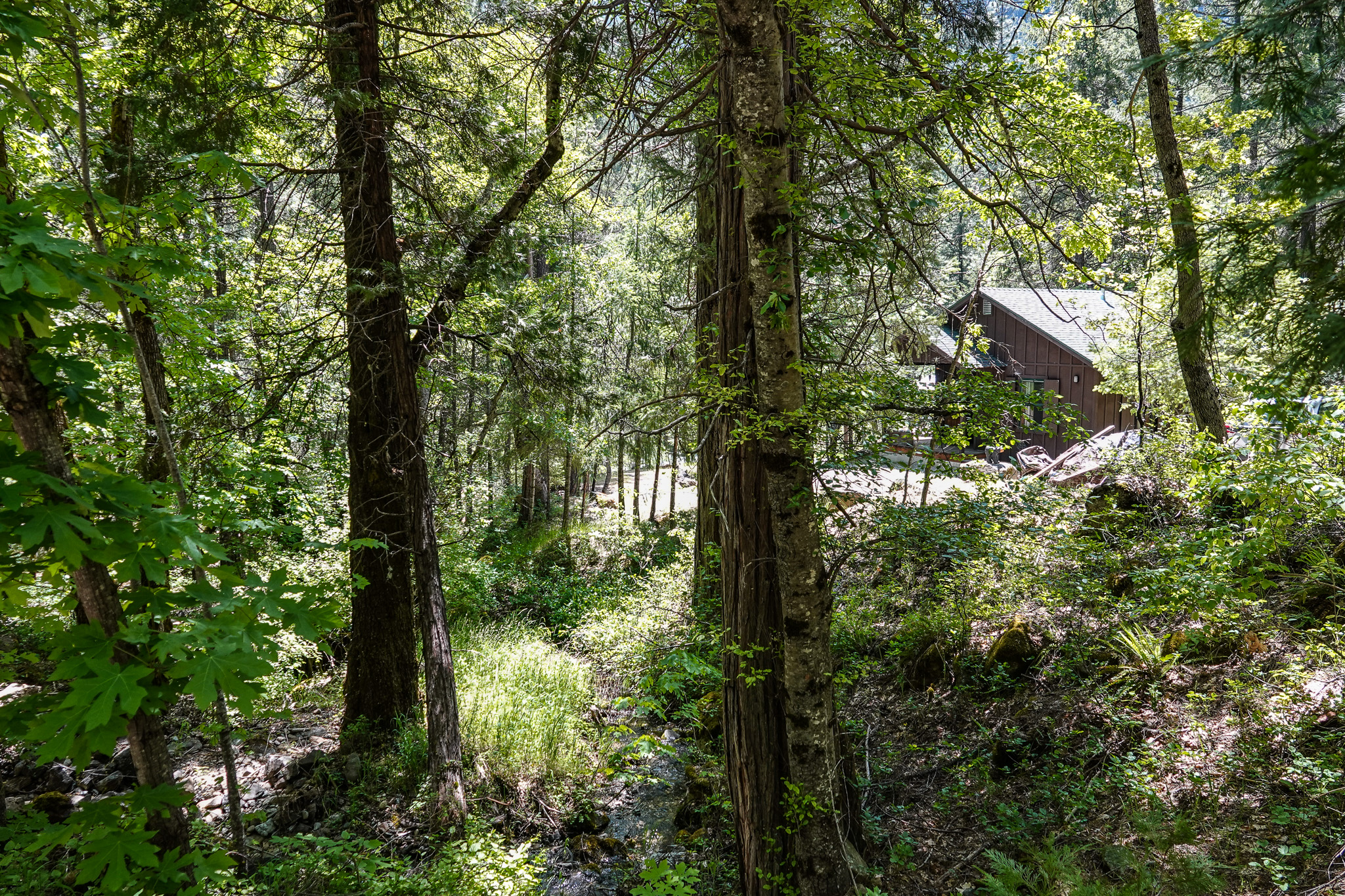 Scott River Cabin