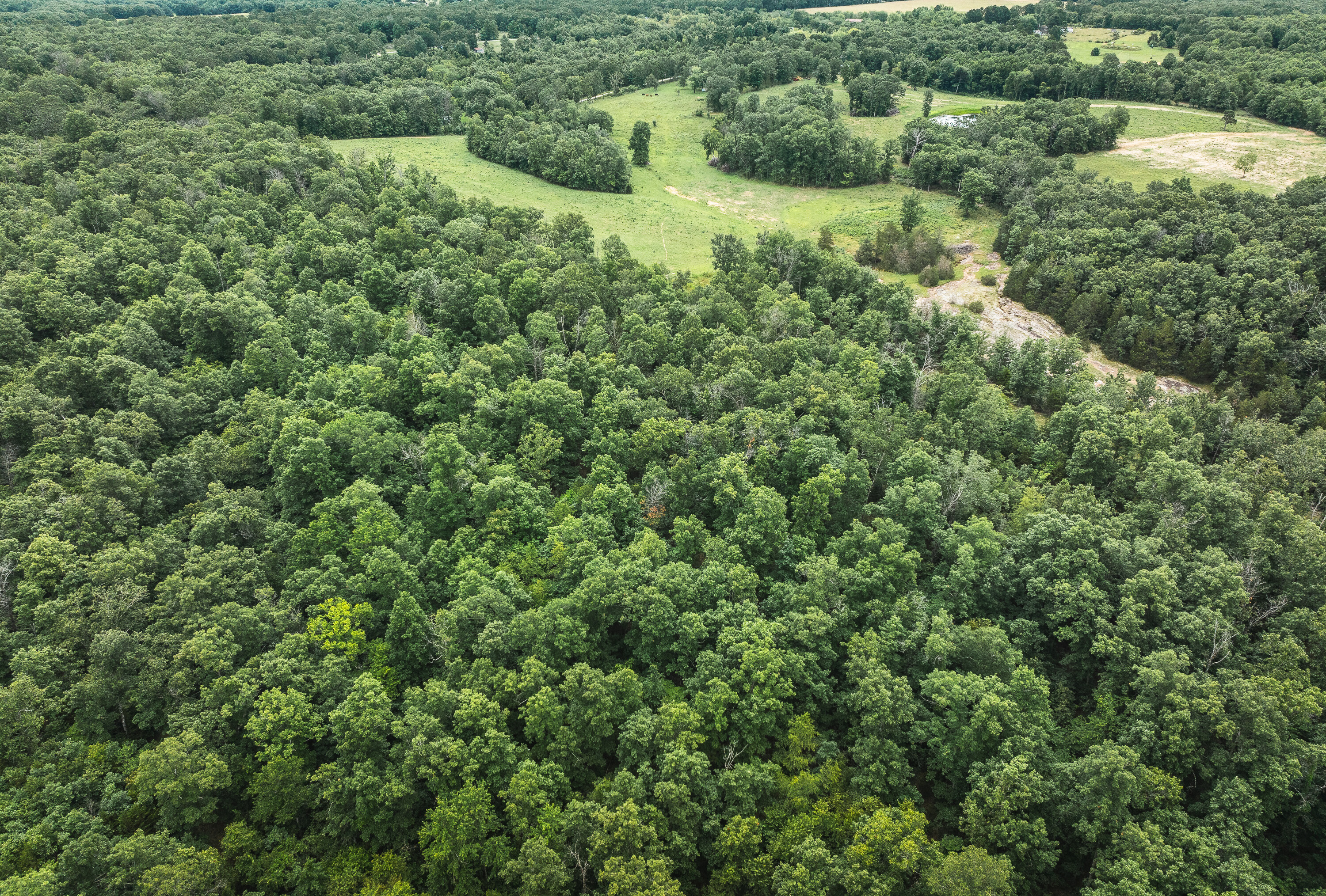 Phelps County Land & Timber 2 Tracts