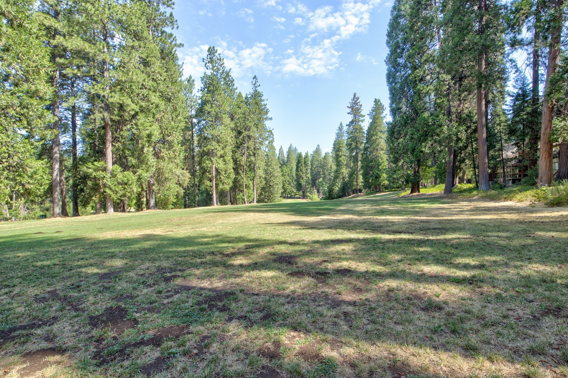 Listing Image 44