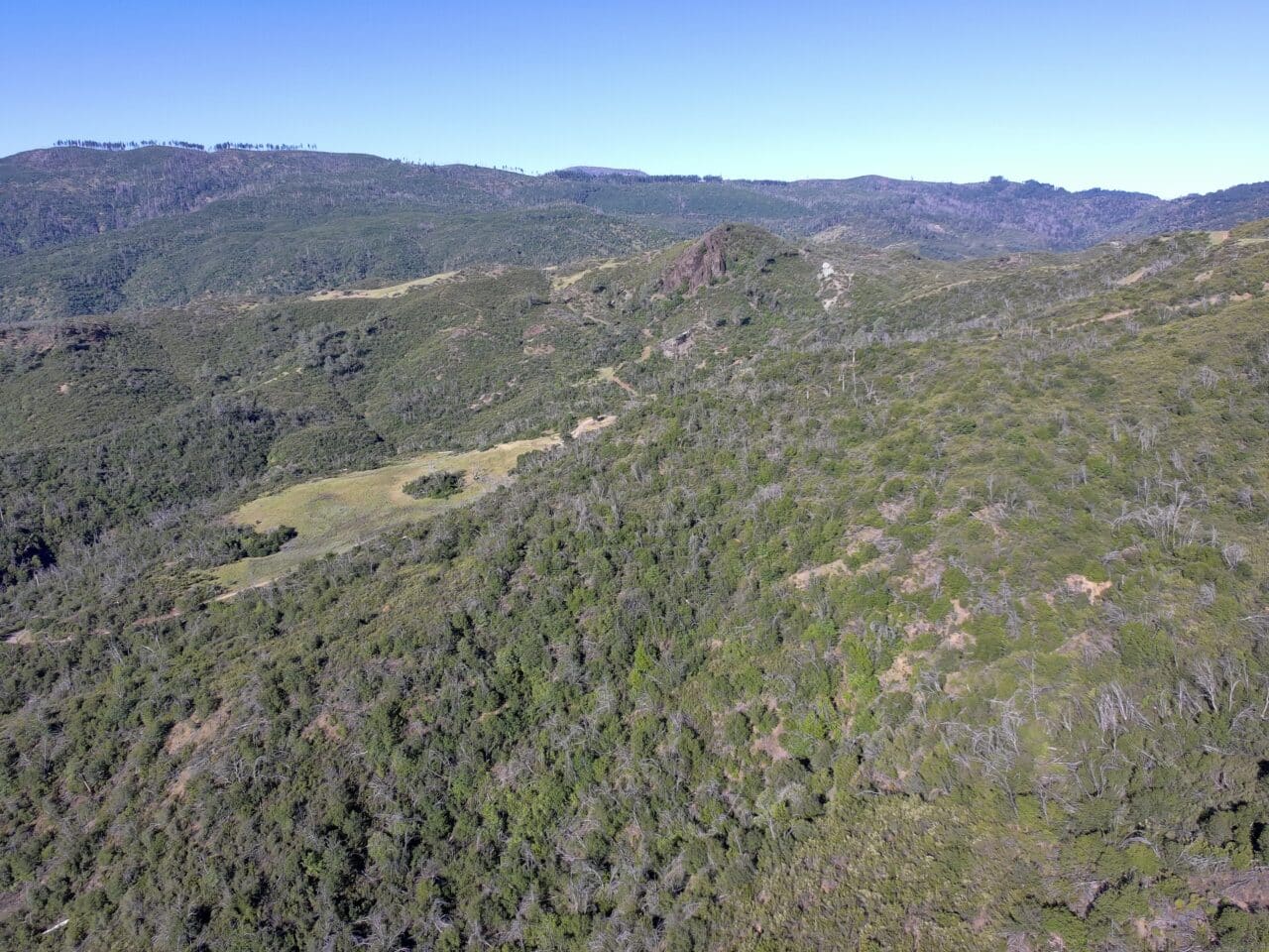 Listing Image 54