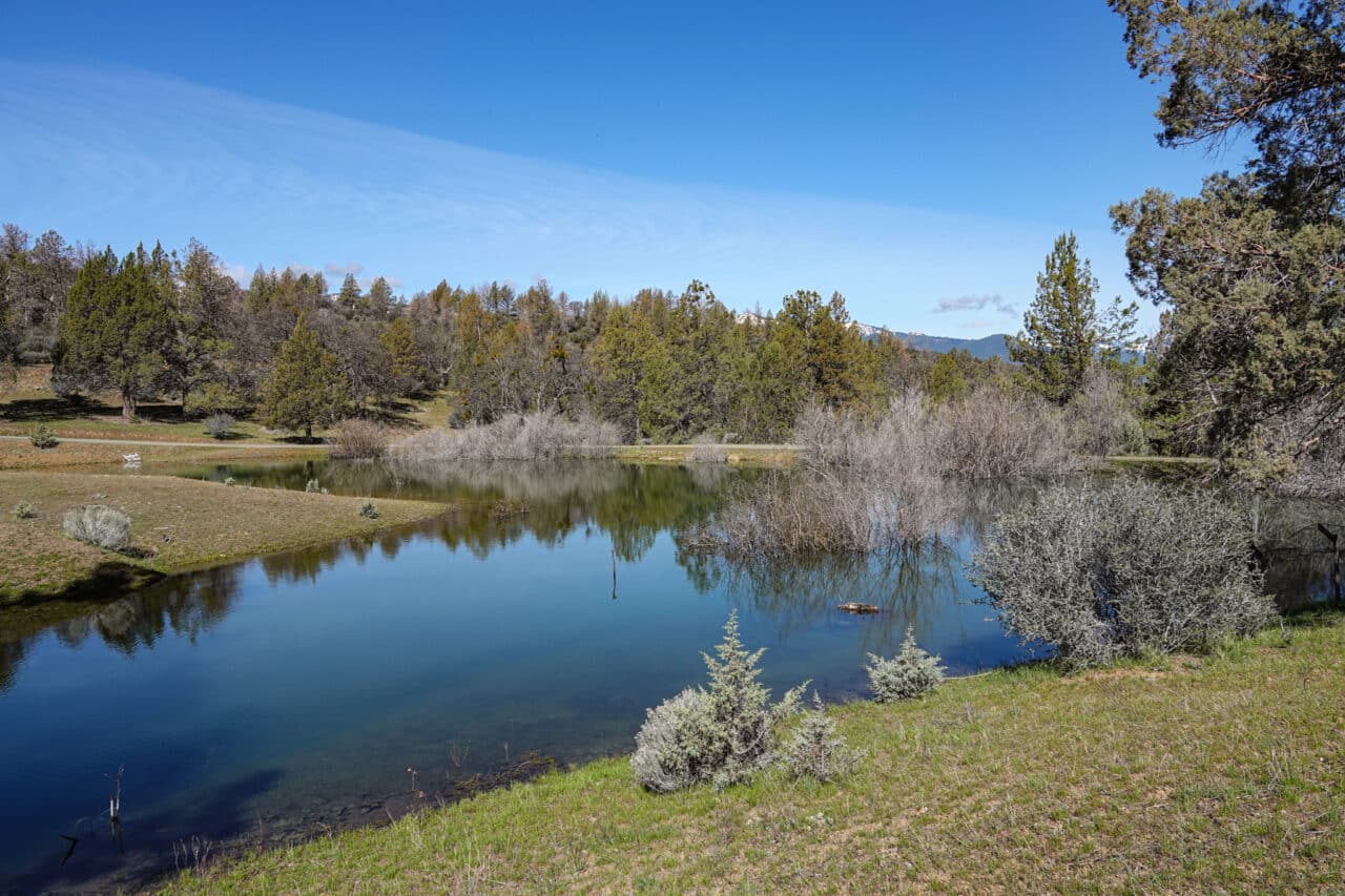 Blacktail Hills Retreat