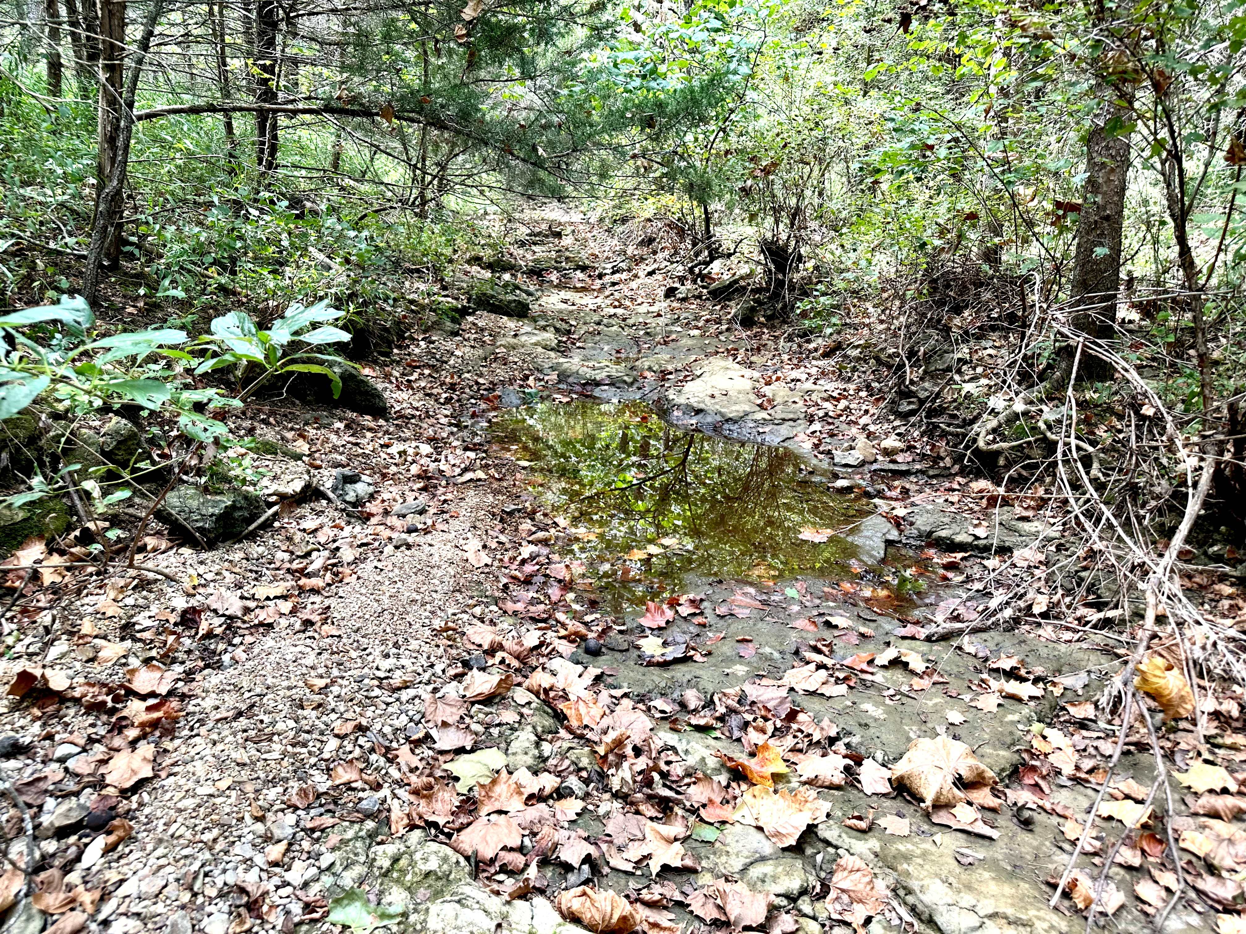 Hickory Hill Hollow