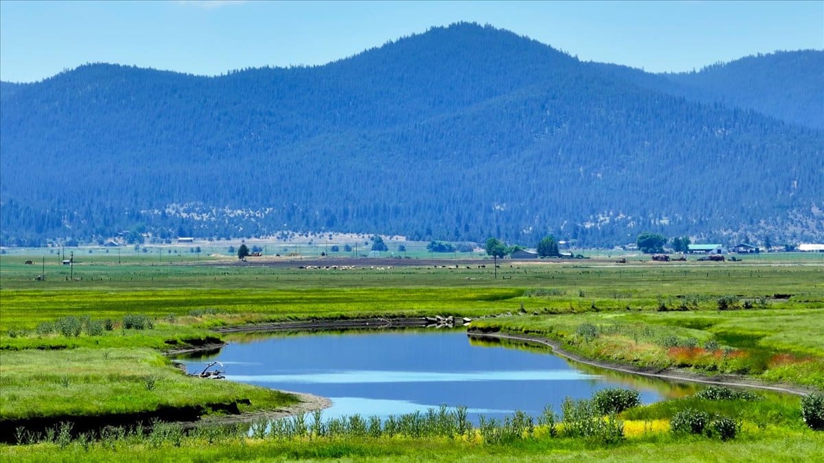 Pit River Cattle Ranch