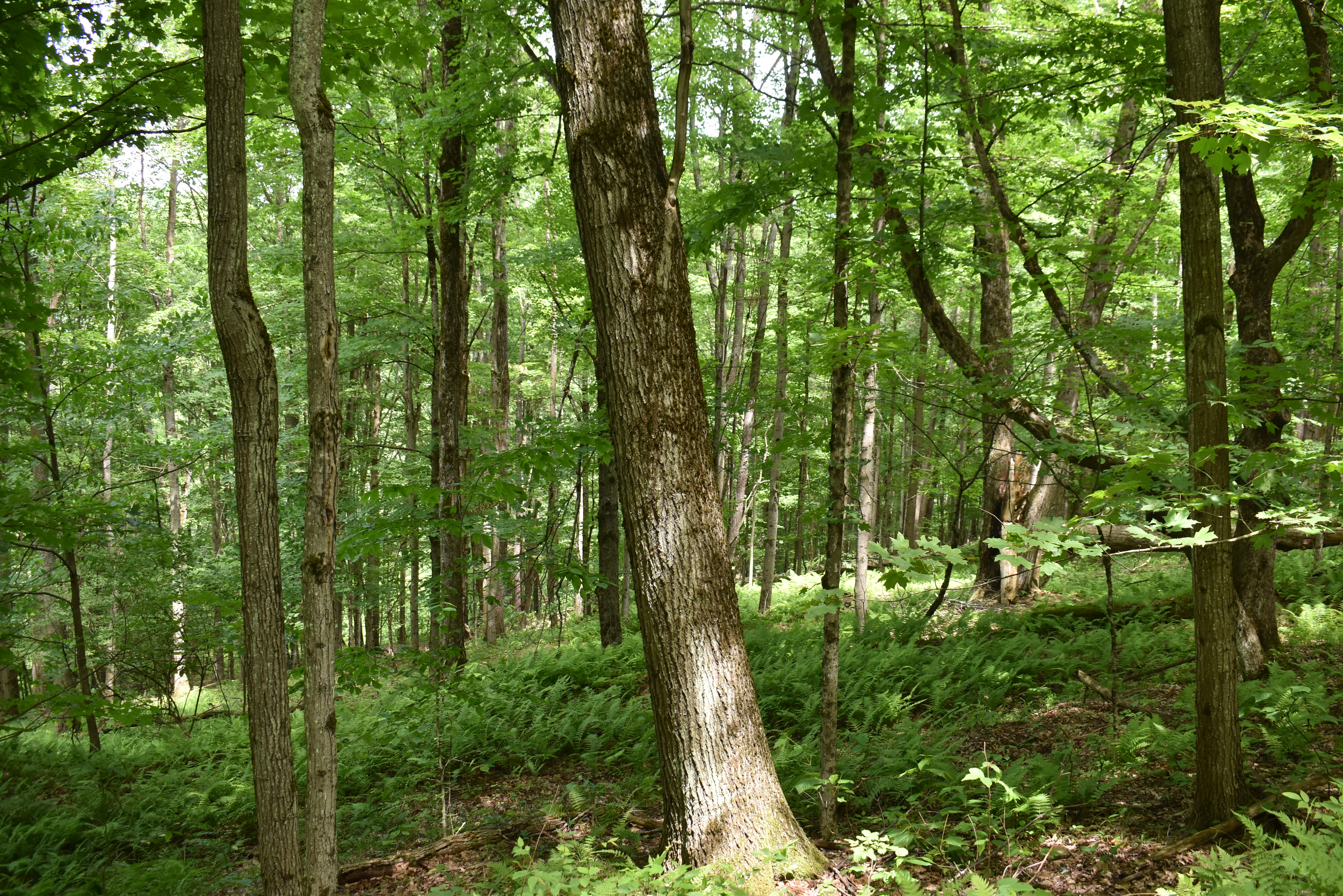 Listing Image 17