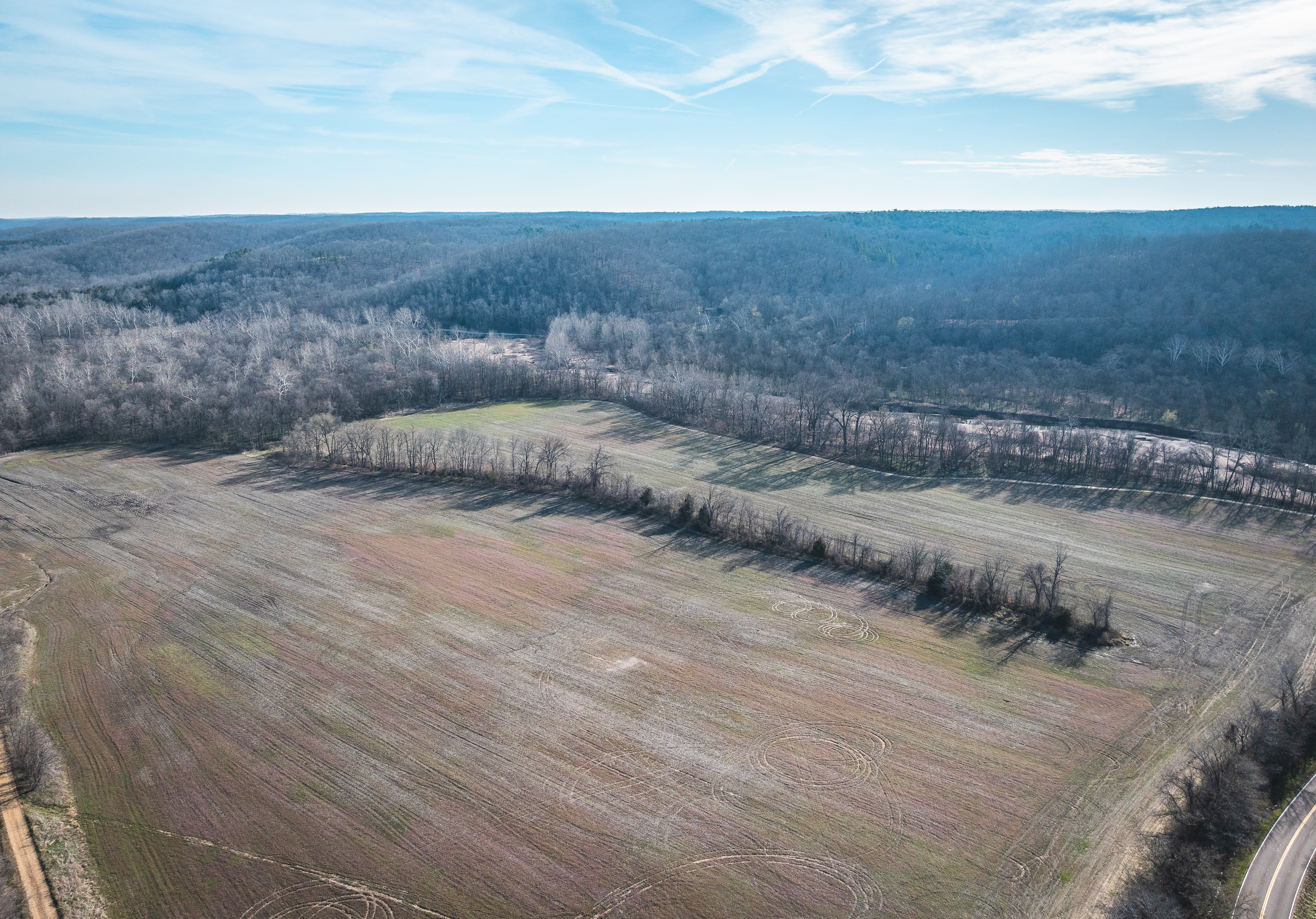 Listing Image 69
