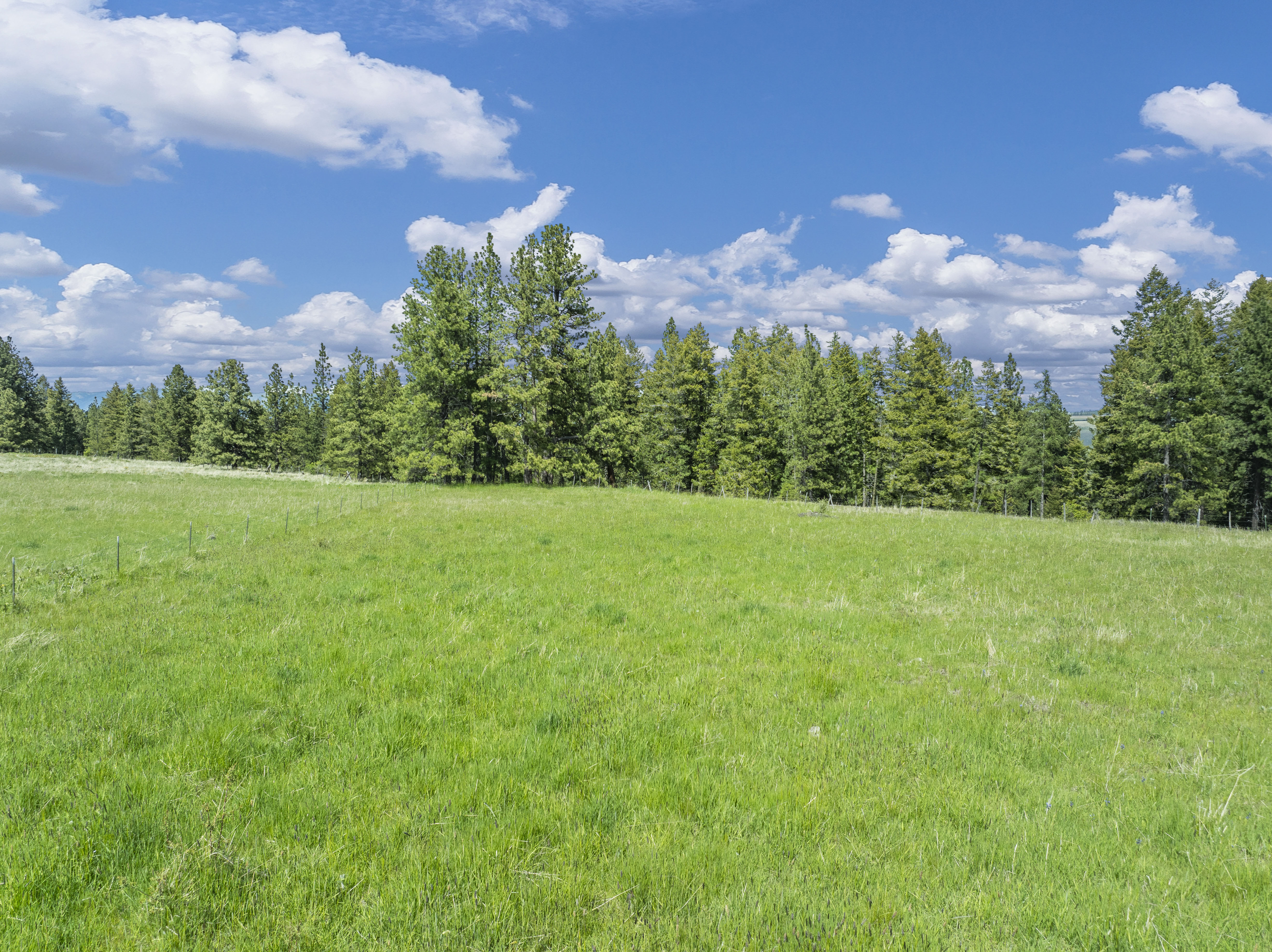 Buford Ridge Ranch