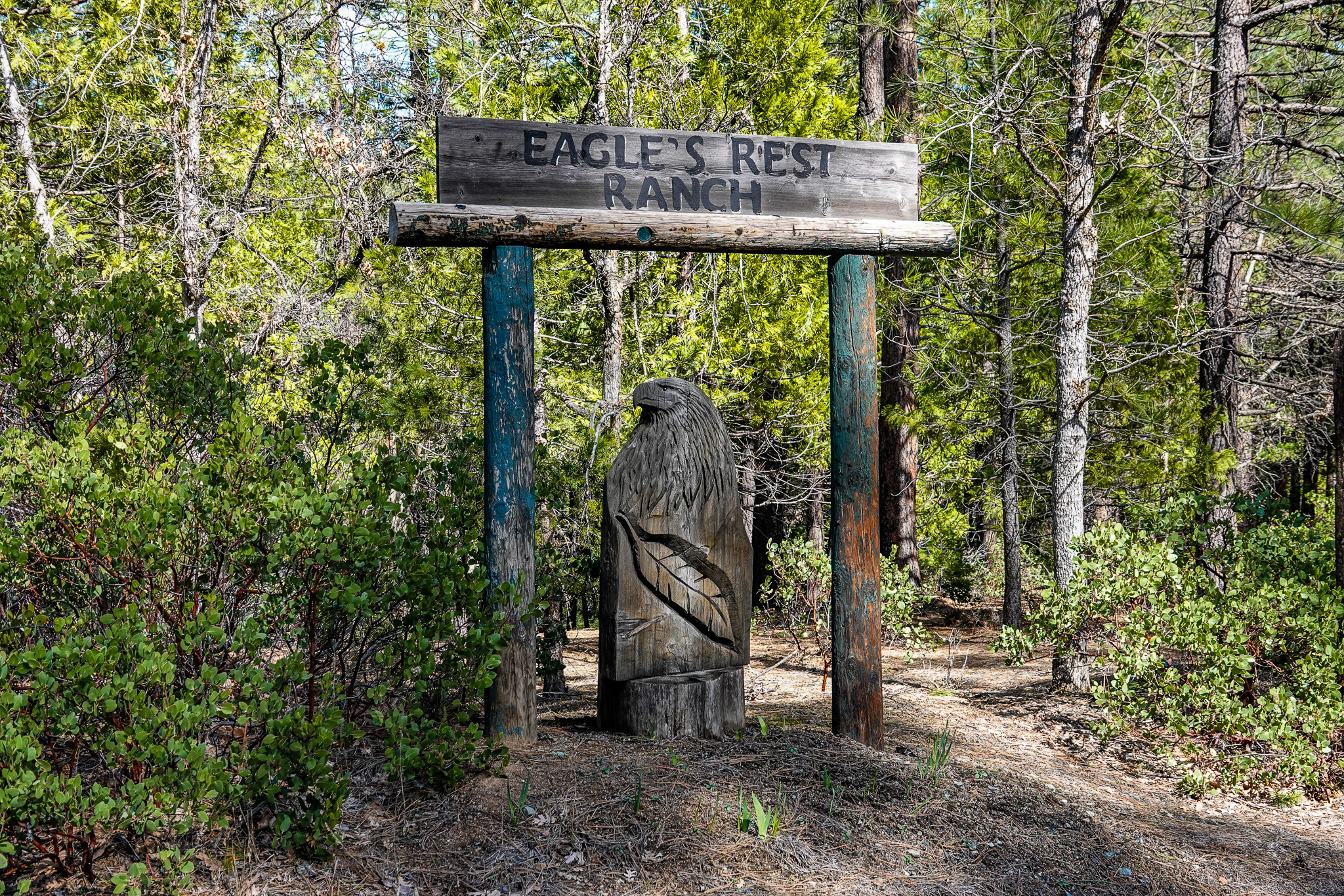Eagle
