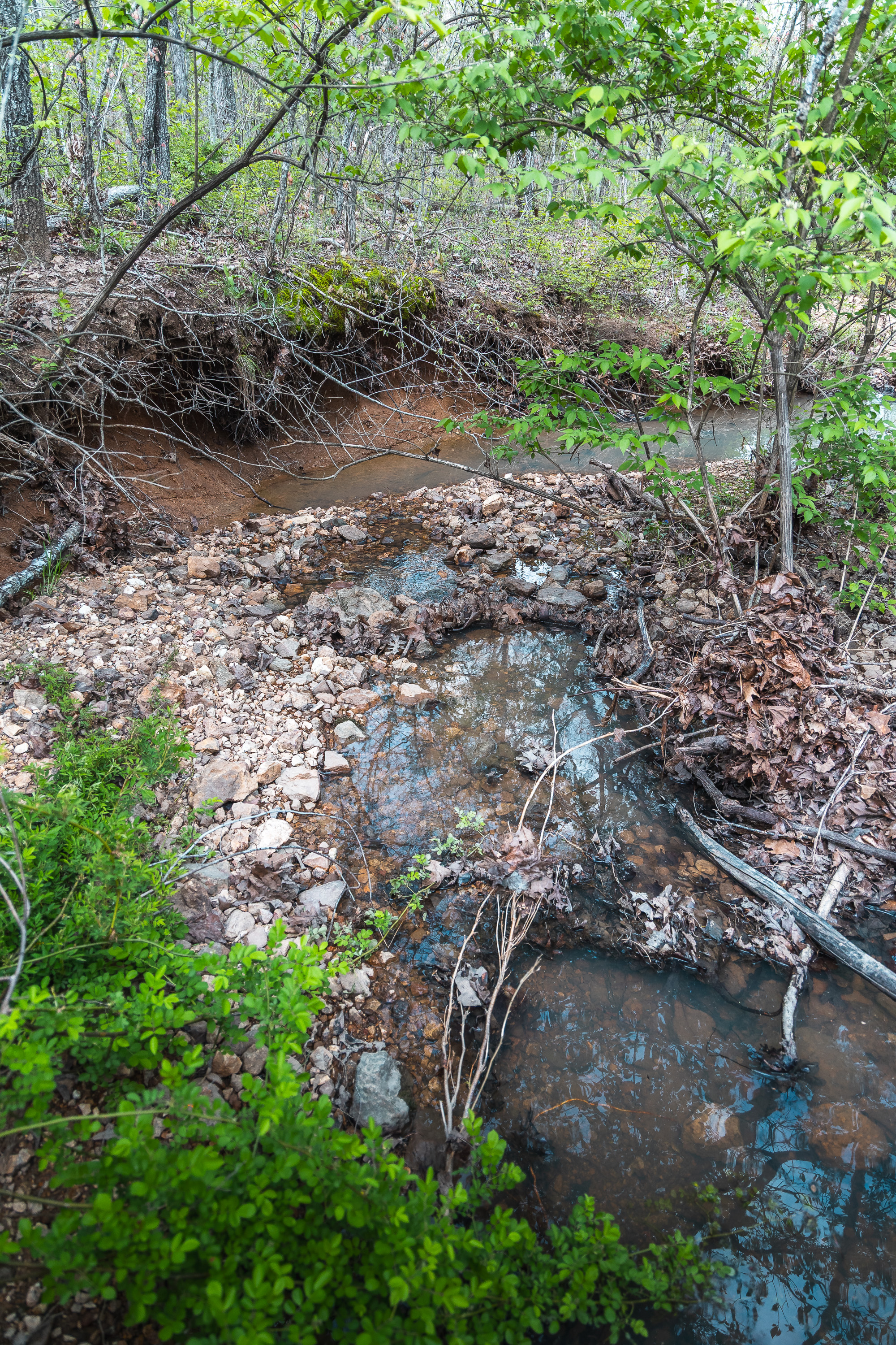 Buck Nest 37