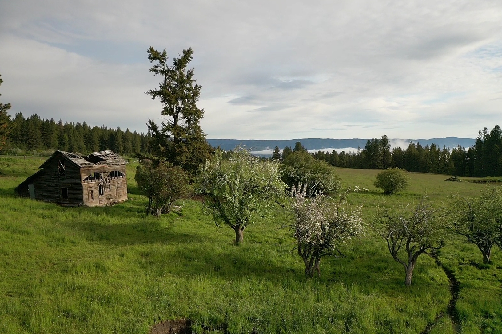 Buford Ridge Ranch
