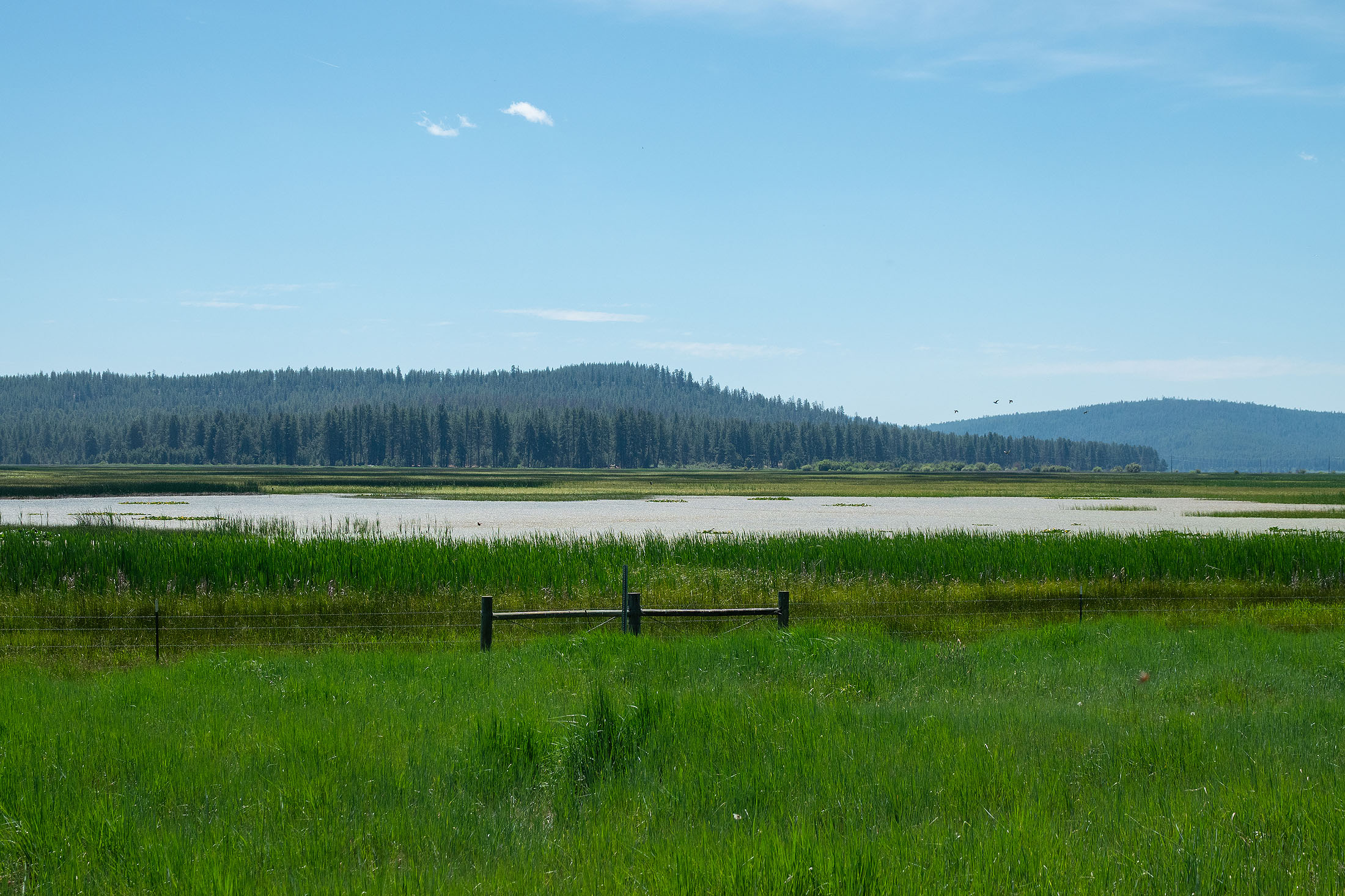 Klamath Marsh Retreat