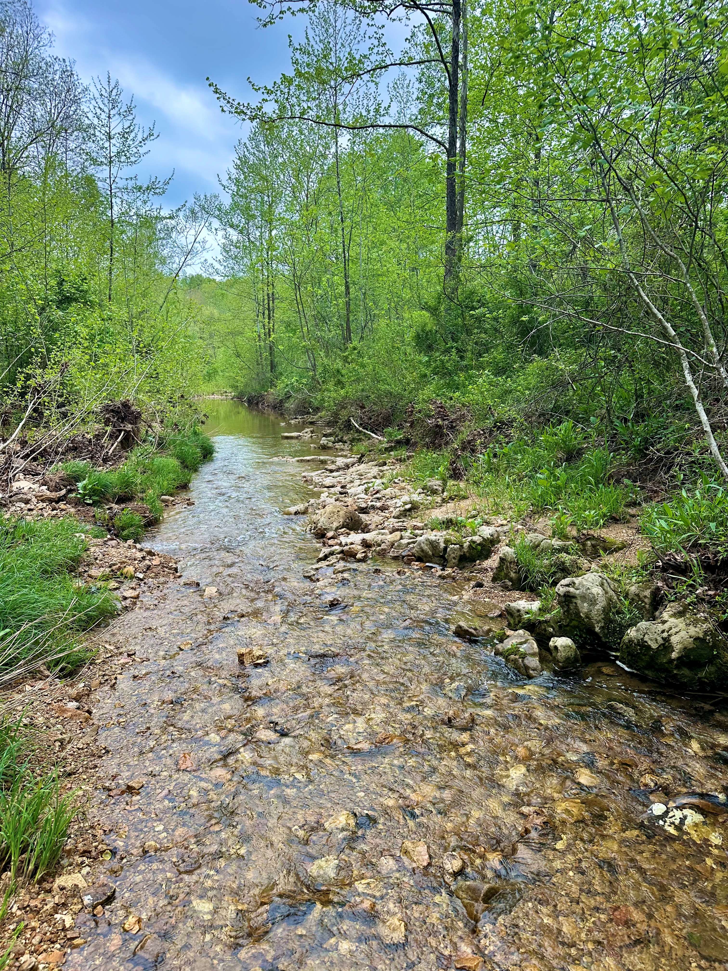 Wash Creek Retreat