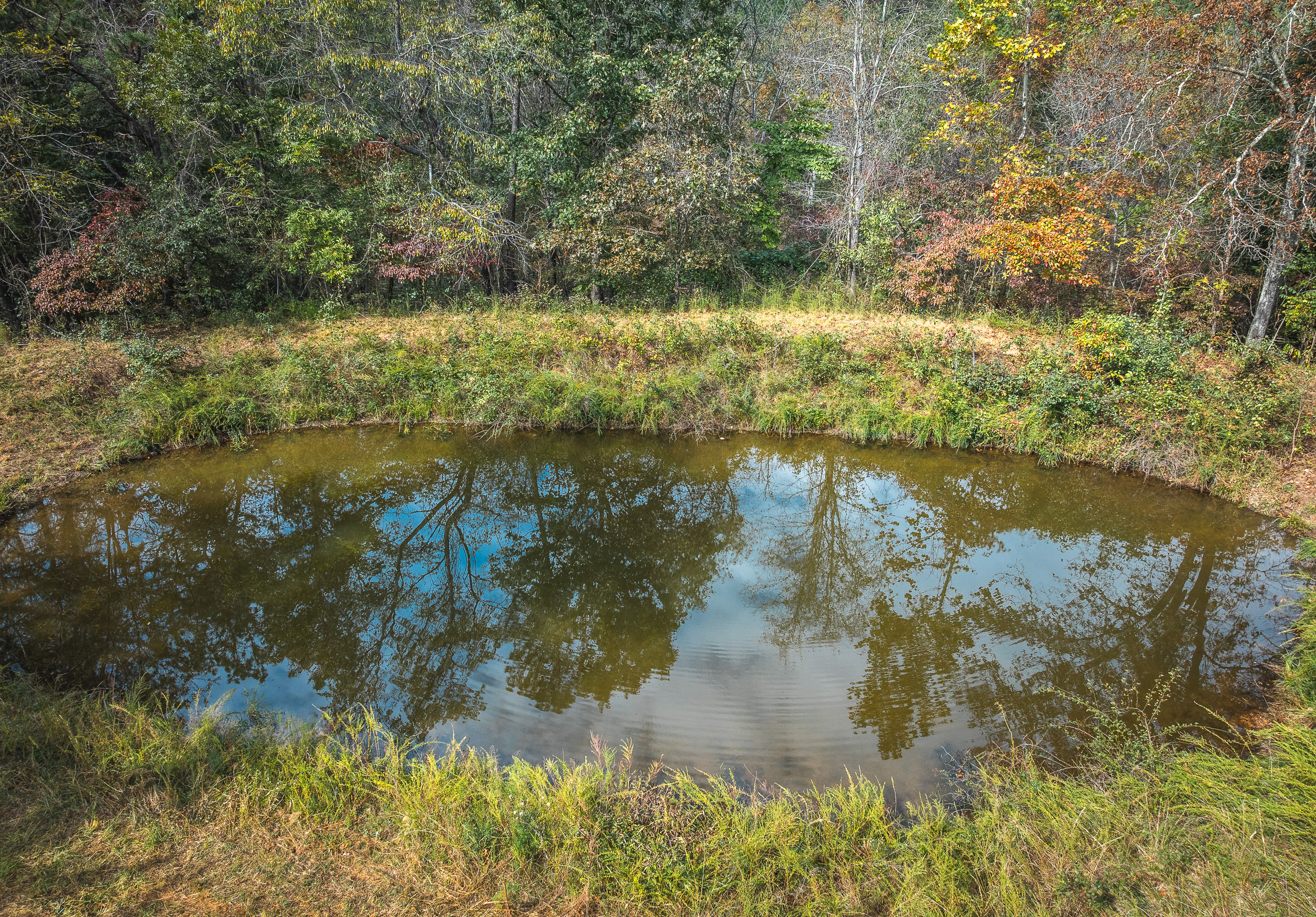 Little Gladden Creek Hunter
