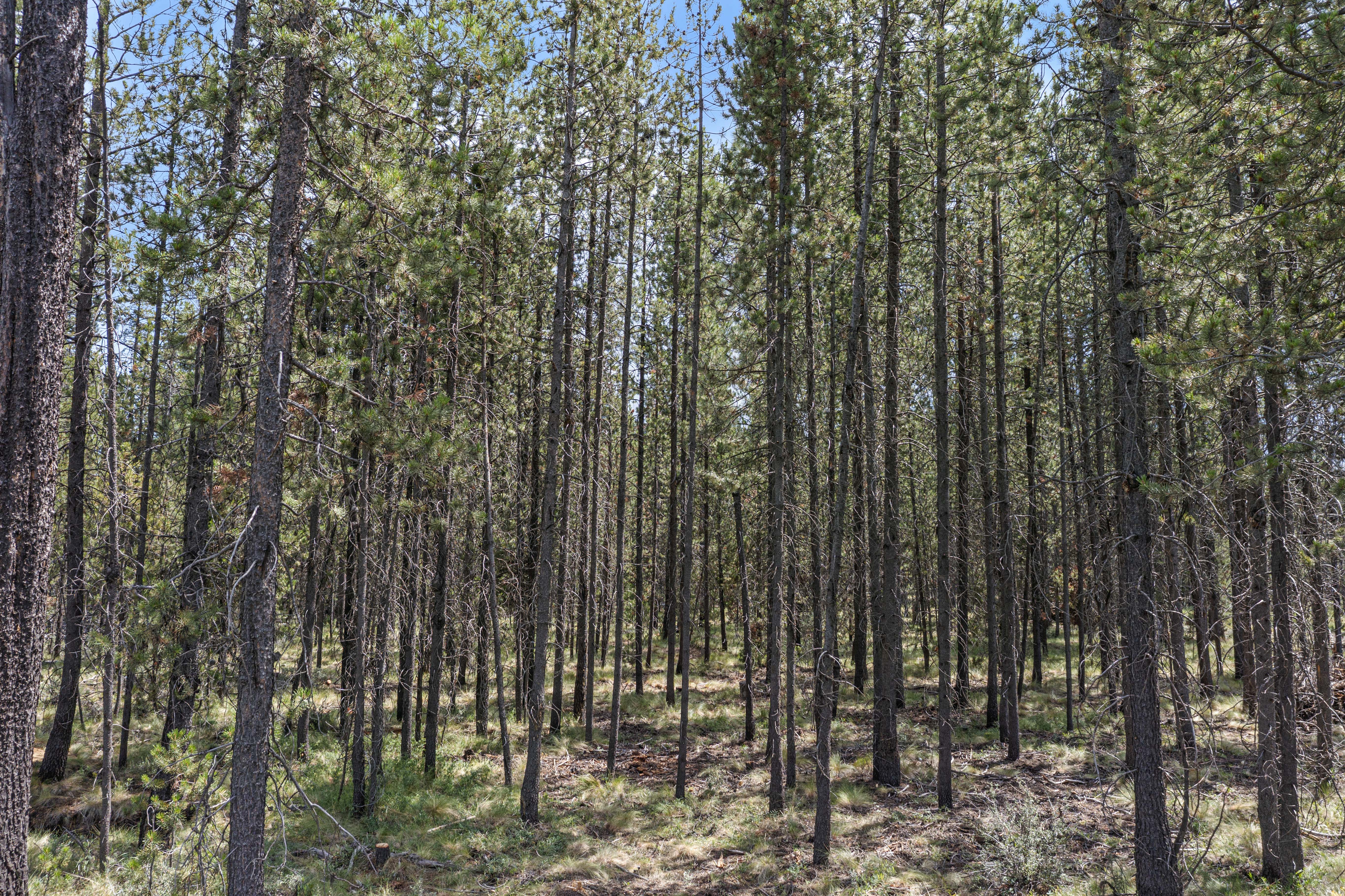 16927 Upland Rd – A Recreational Canvas in the Heart of Central Oregon