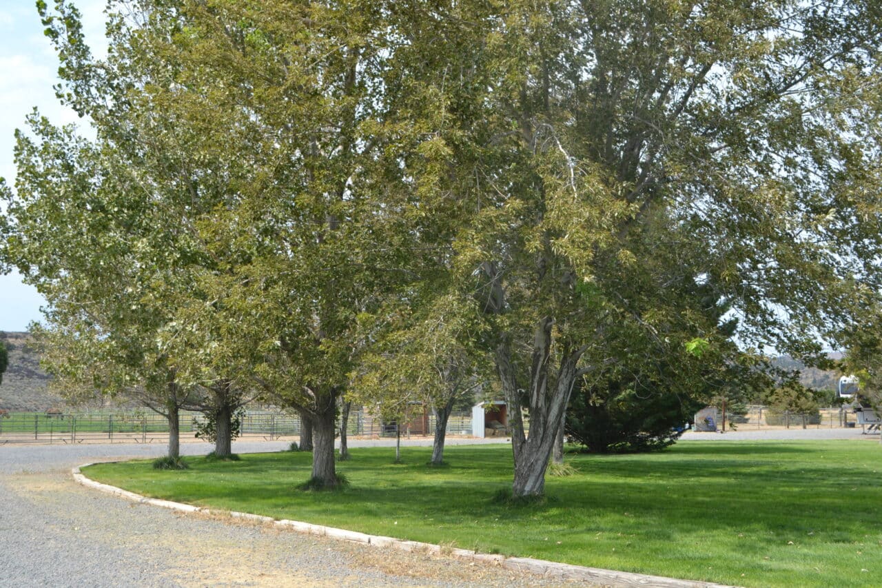 Listing Image 69