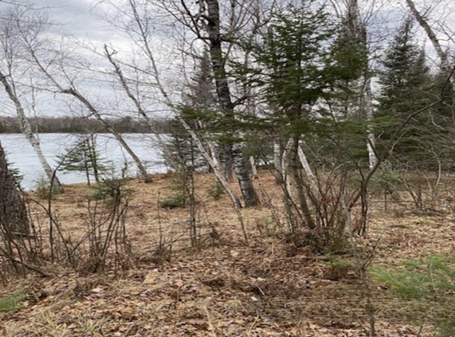 Maggie Lake Retreat 50136074