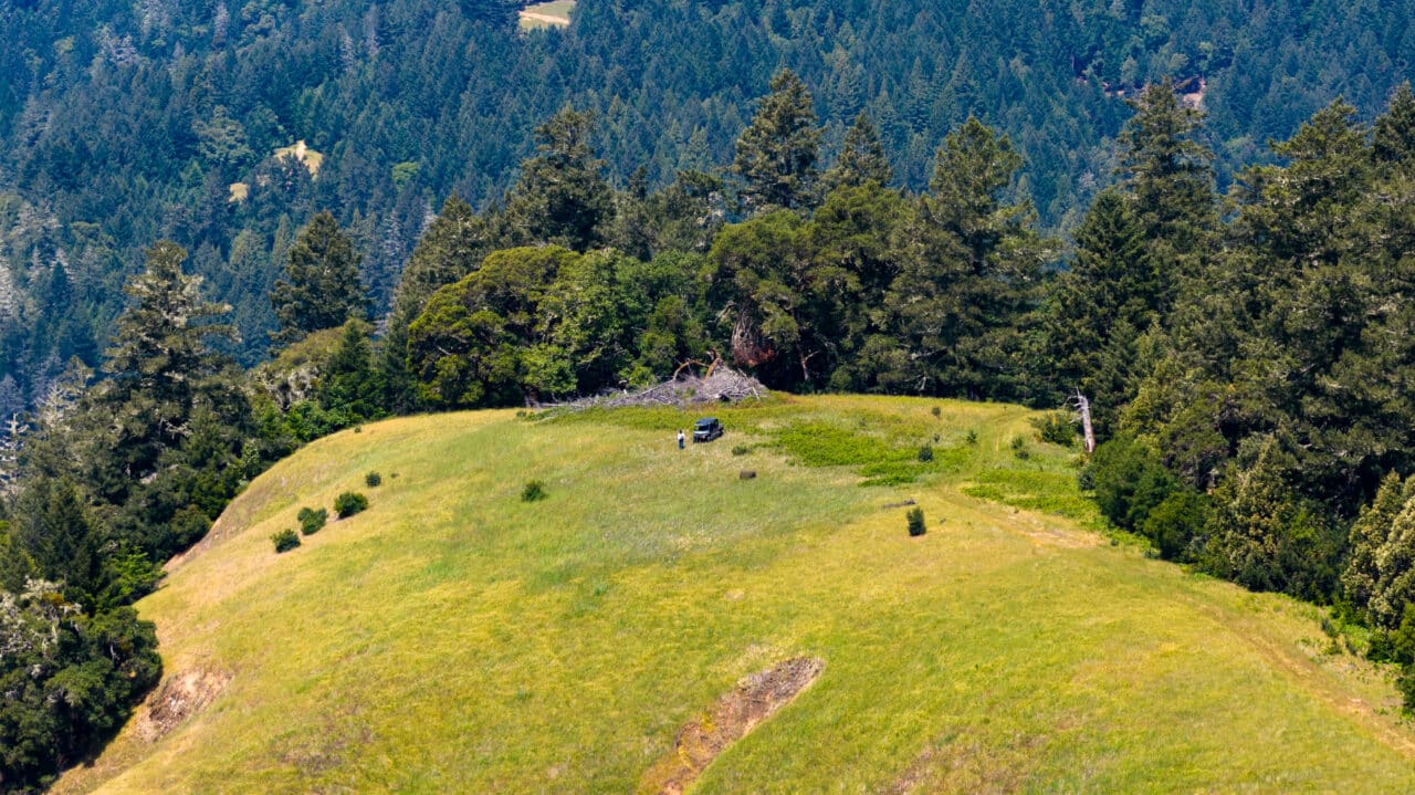 Listing Image 60