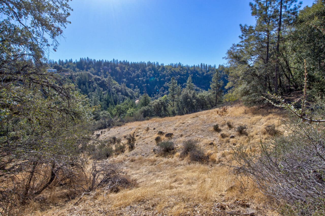 Listing Image 53