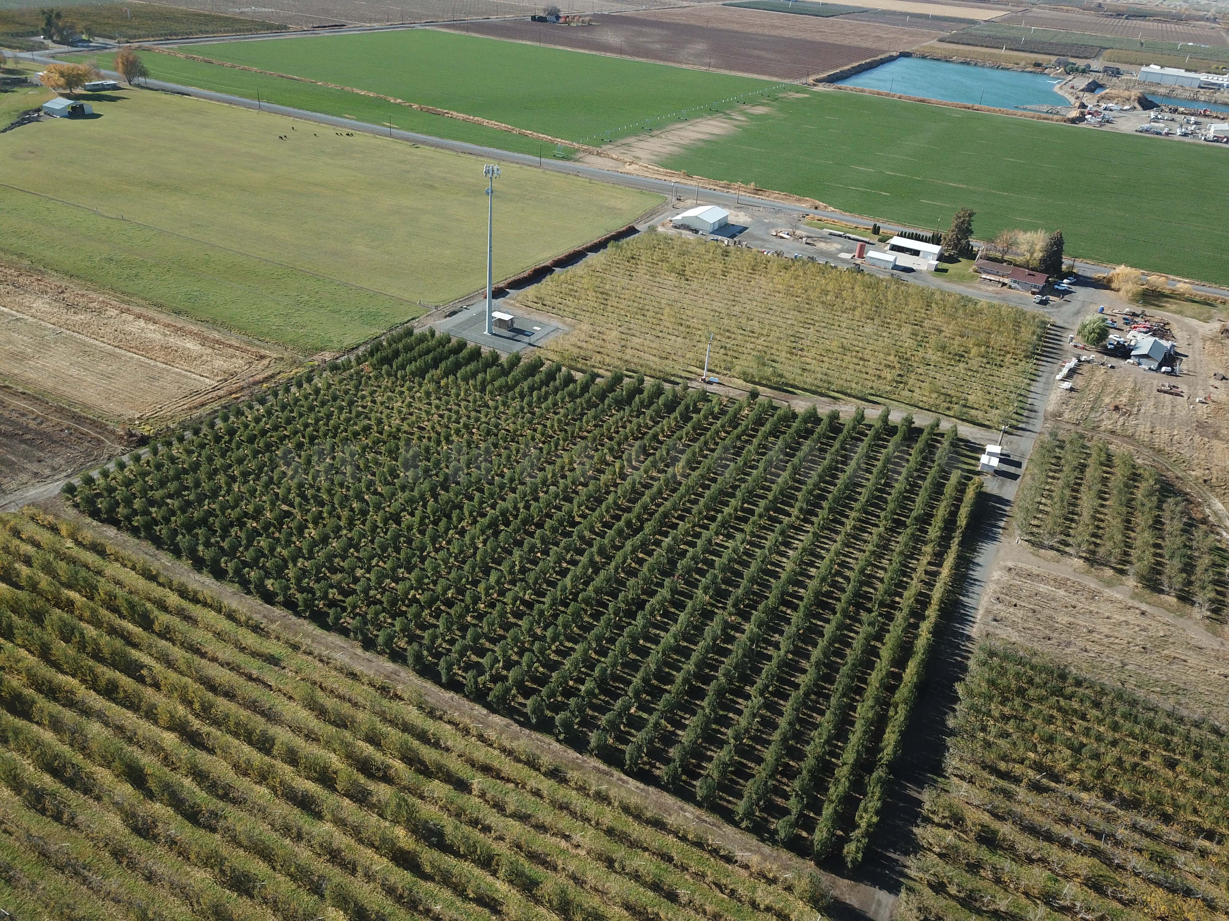 Apple Orchard w Equipment, House and Shops!