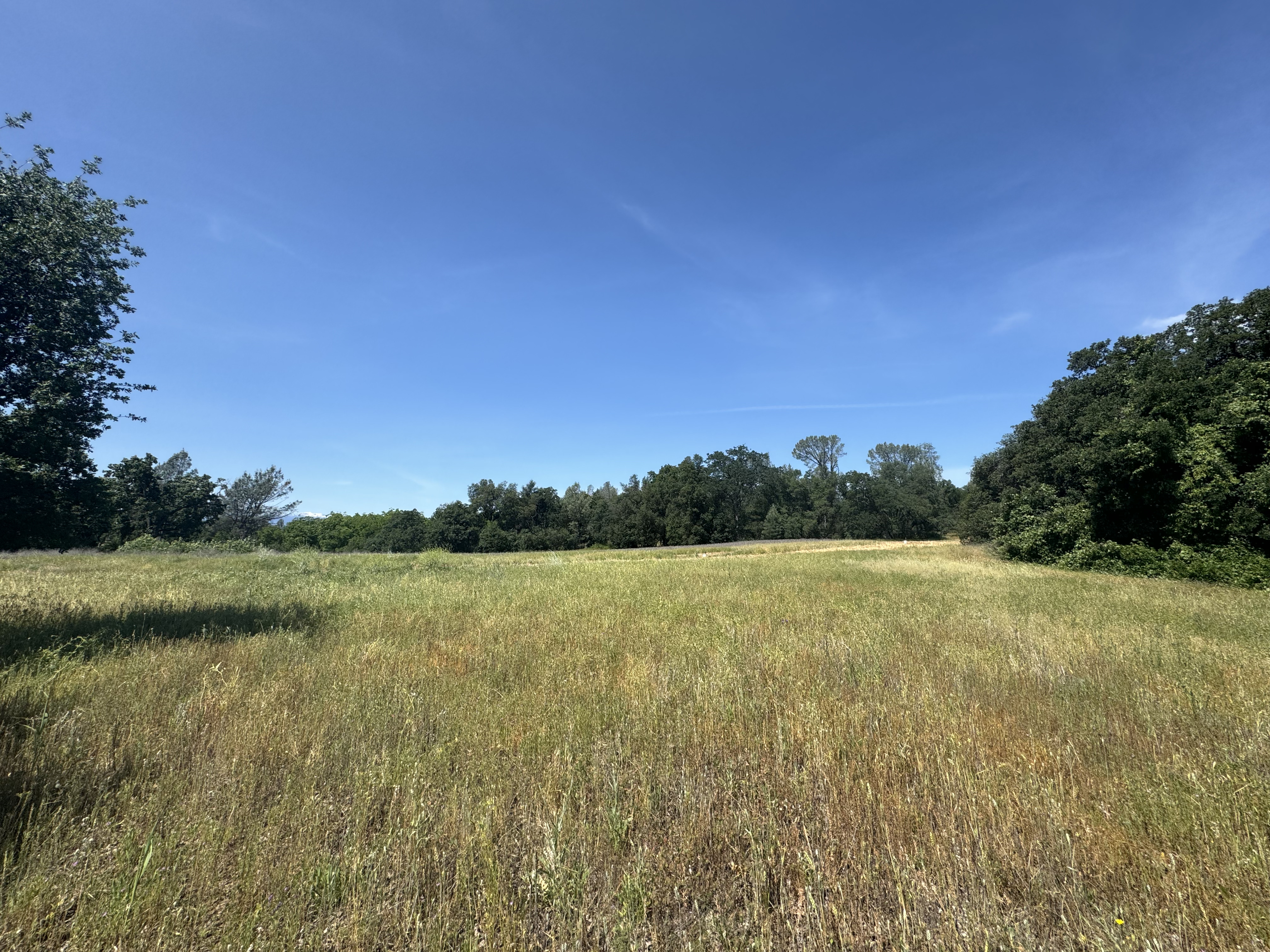 Listing Image 26