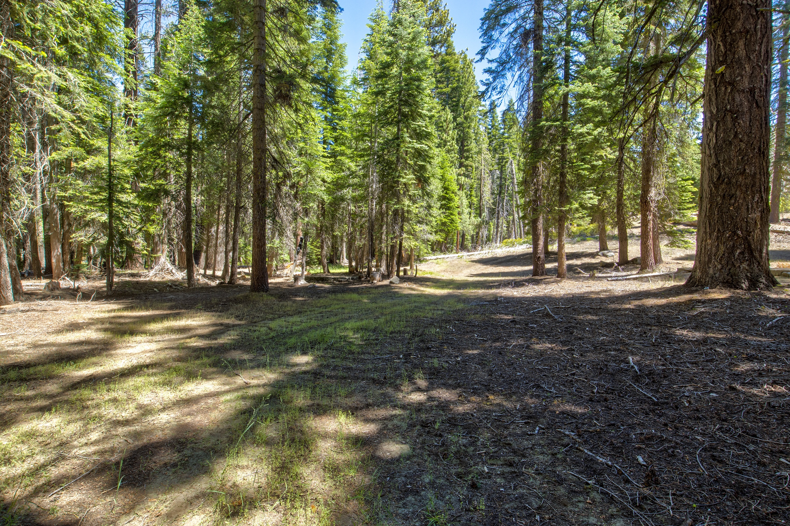 Listing Image 55