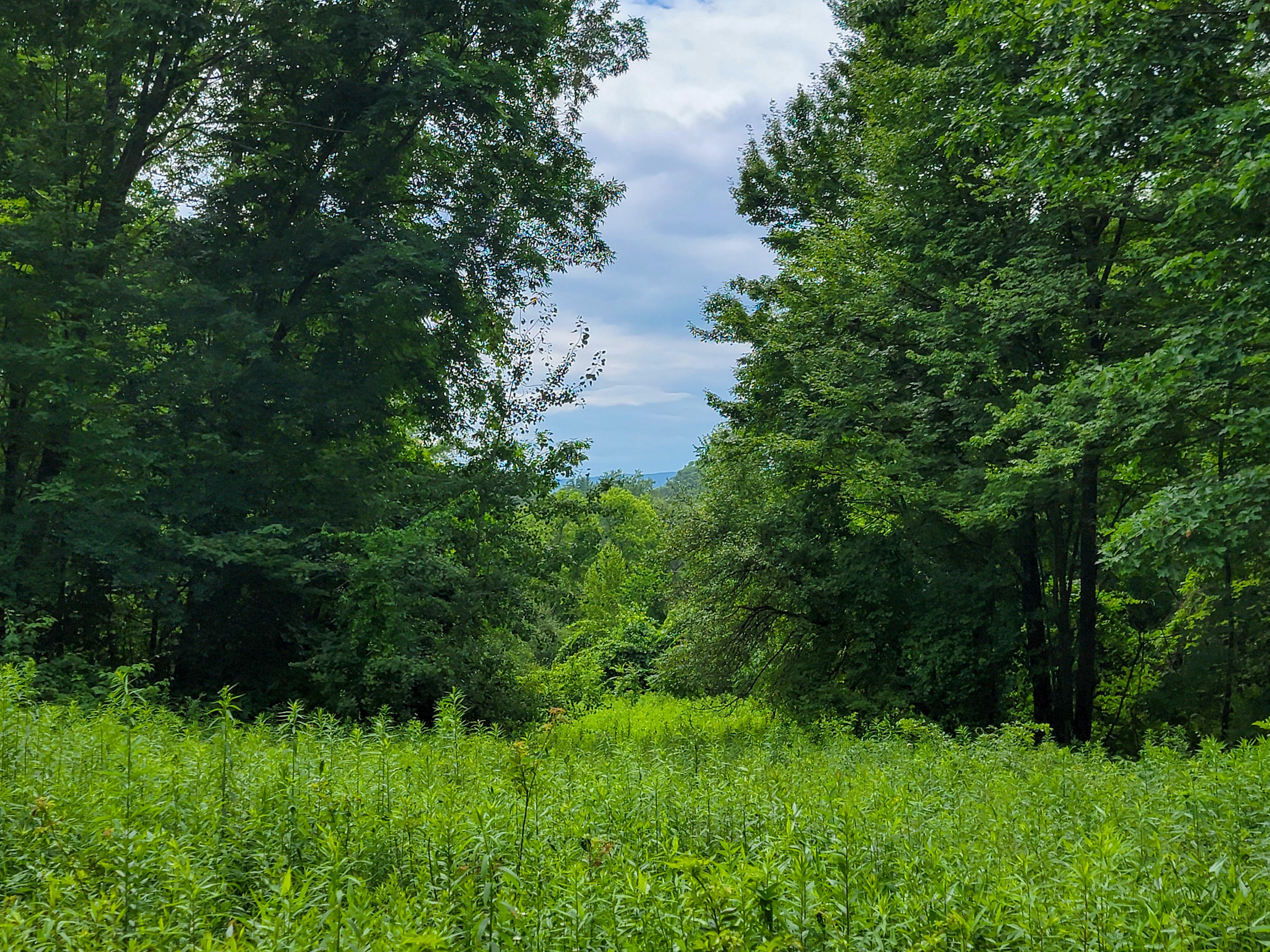 1073 Chapel Rd - Bennington