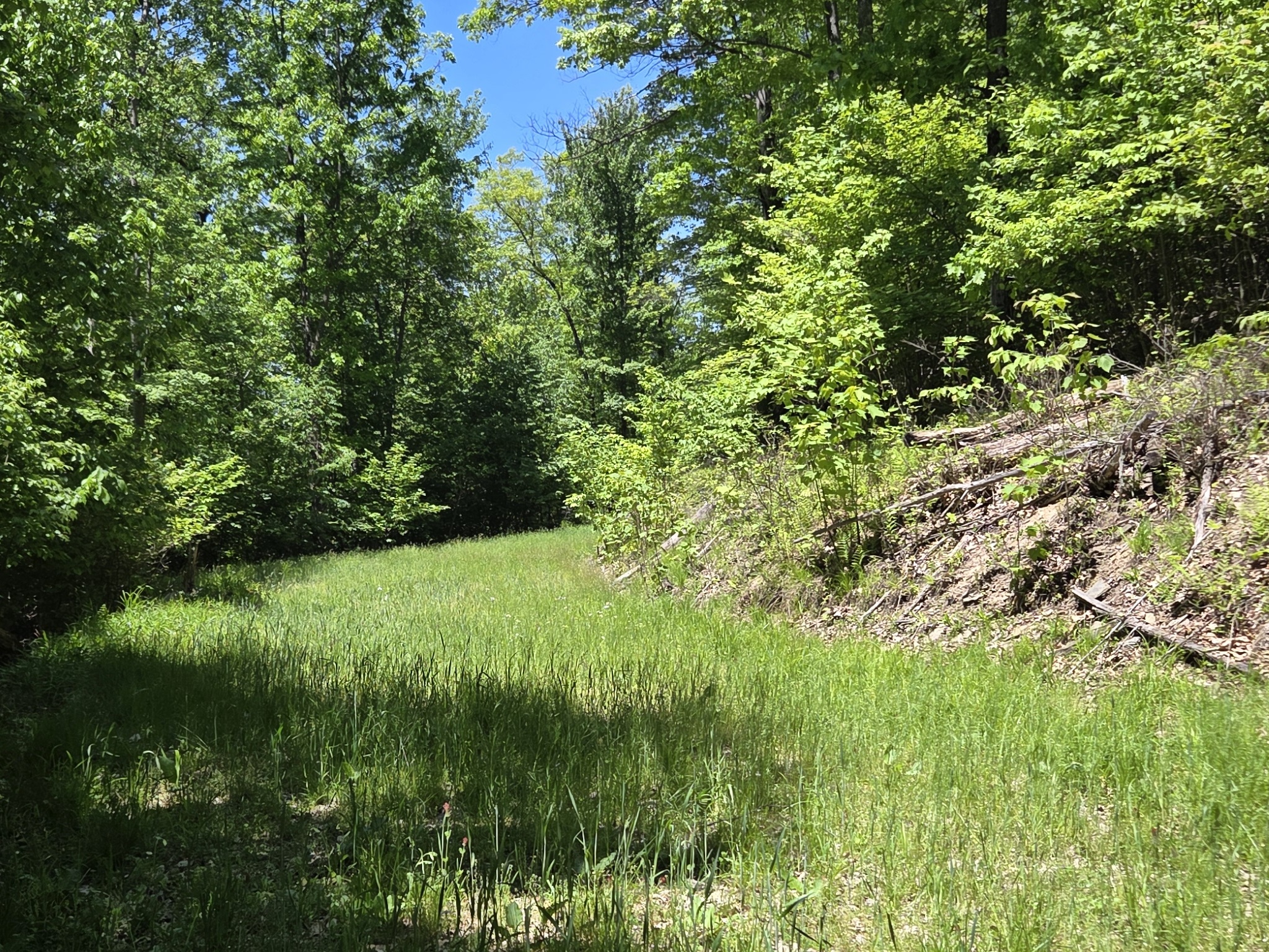 Listing Image 38