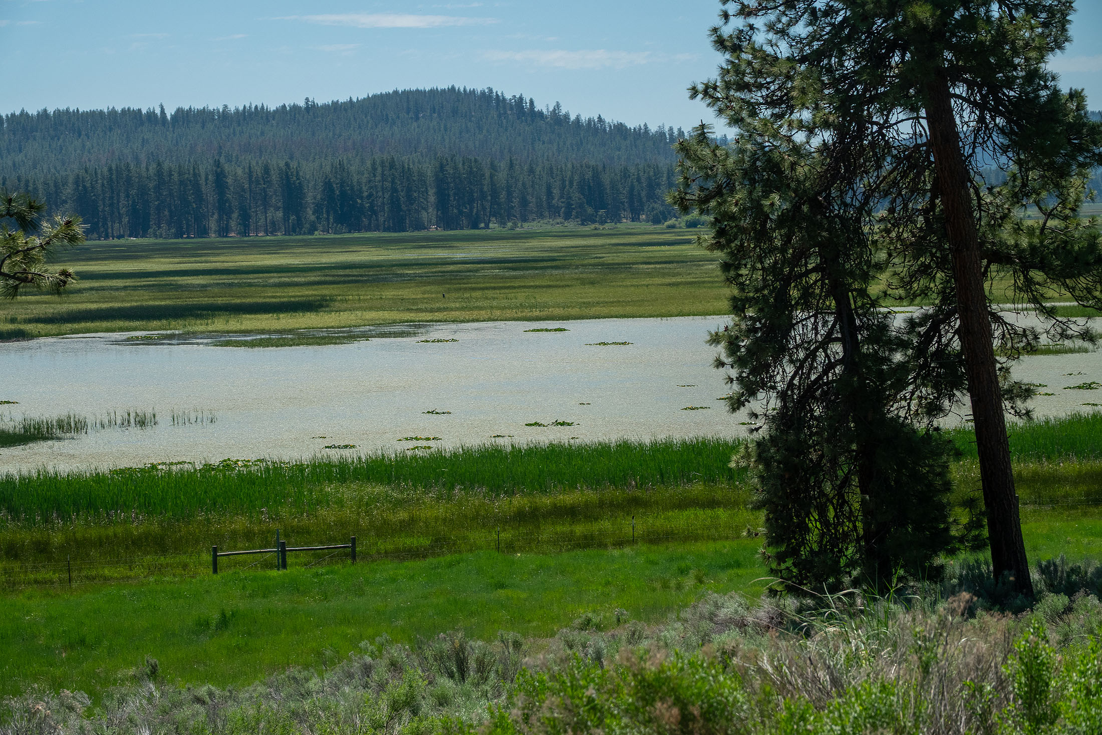 Klamath Marsh Retreat