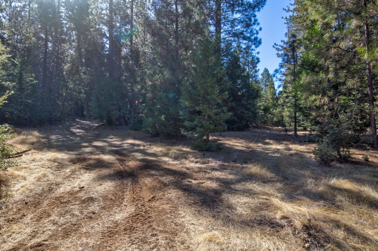 Listing Image 54