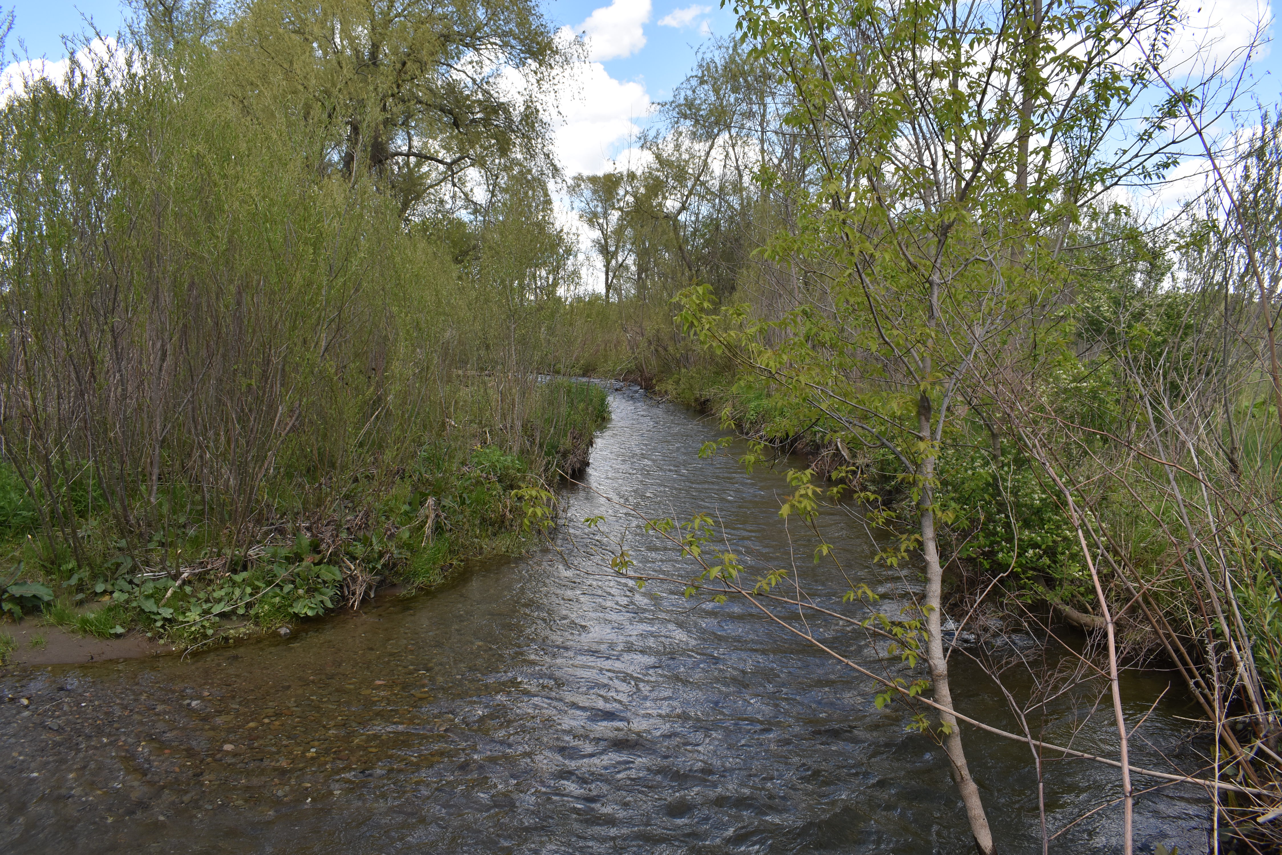 Listing Image 34