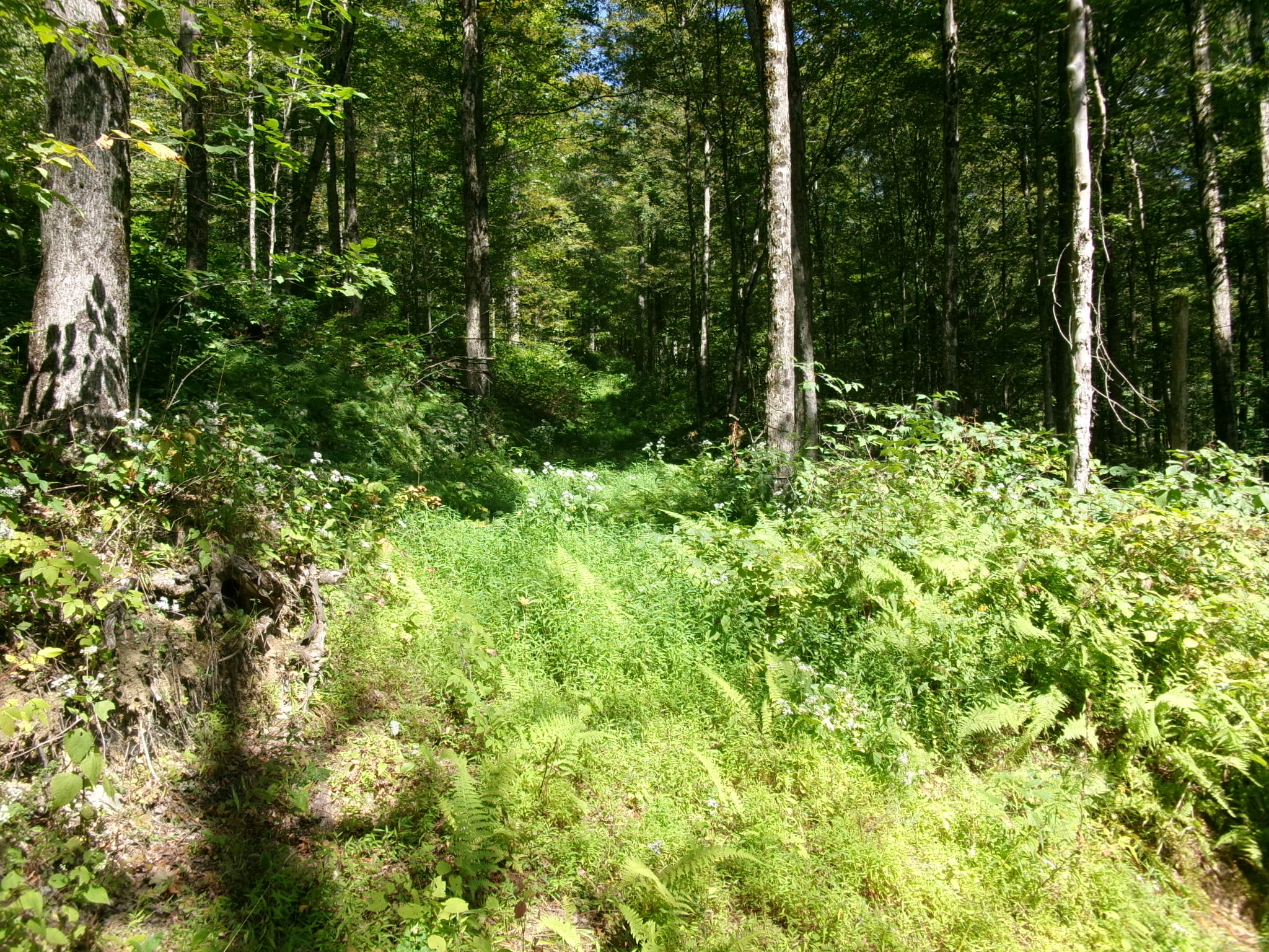 Listing Image 57