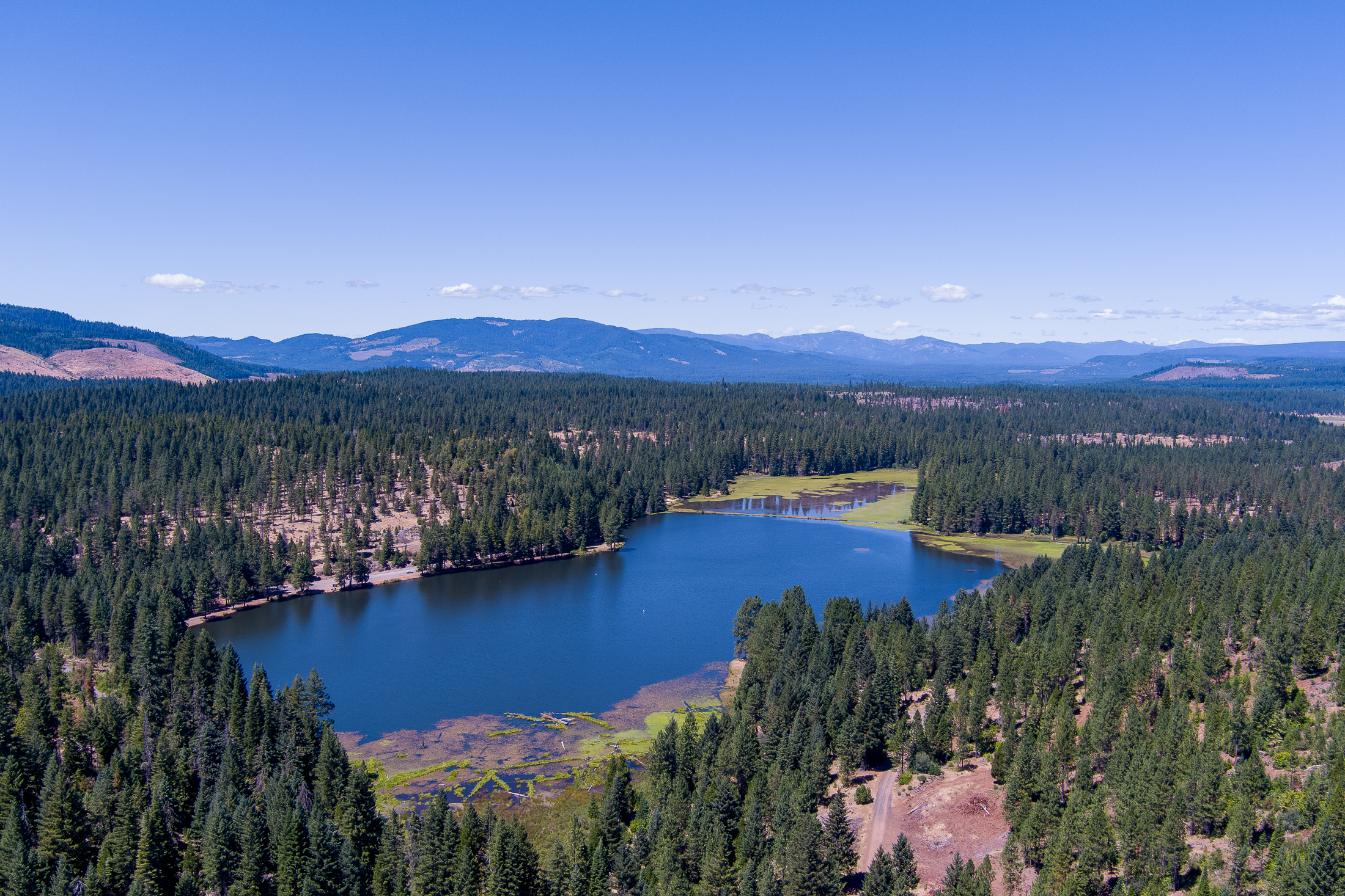 Medco Pond- Recreational Retreat