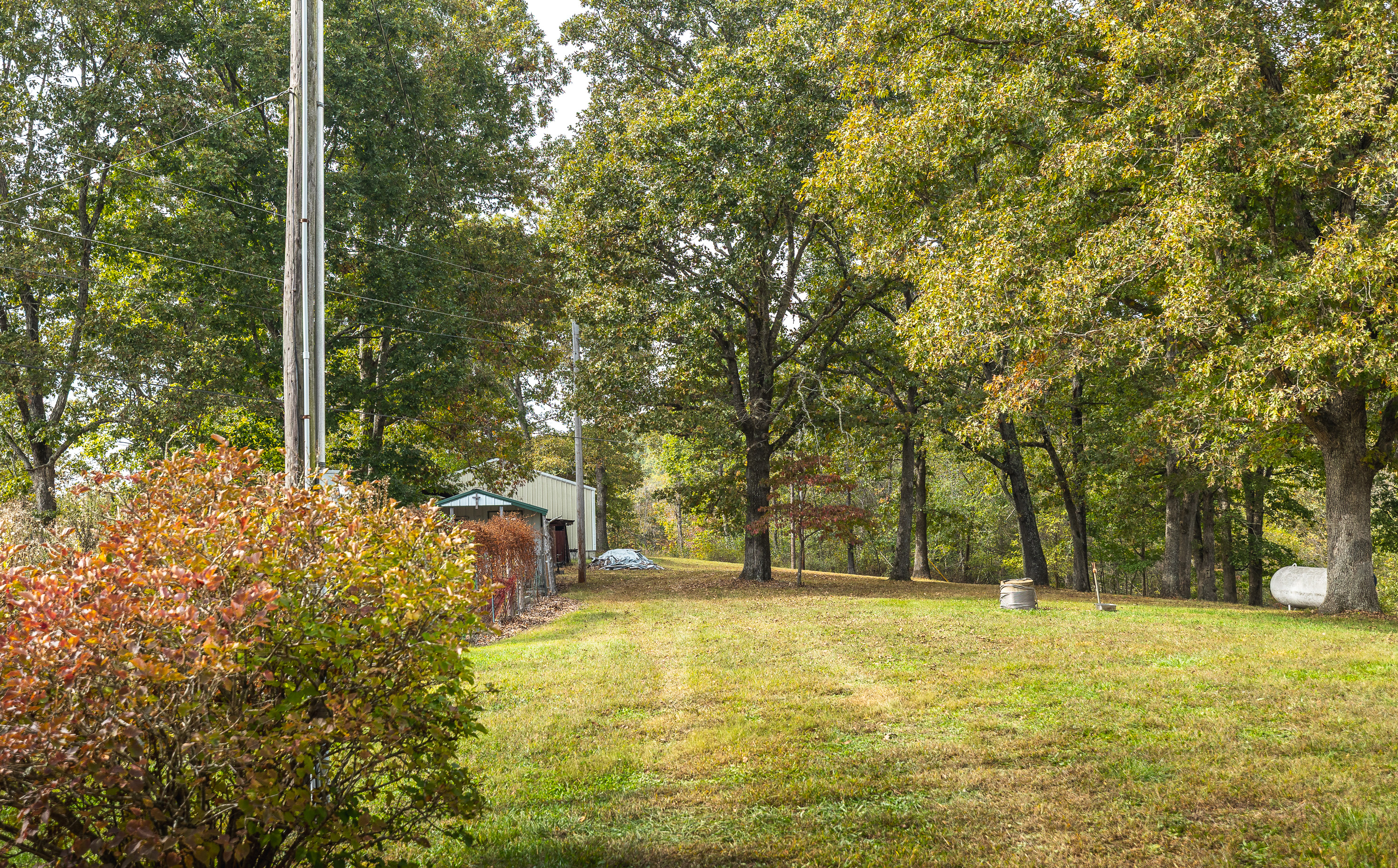 Little Gladden Creek Hunter