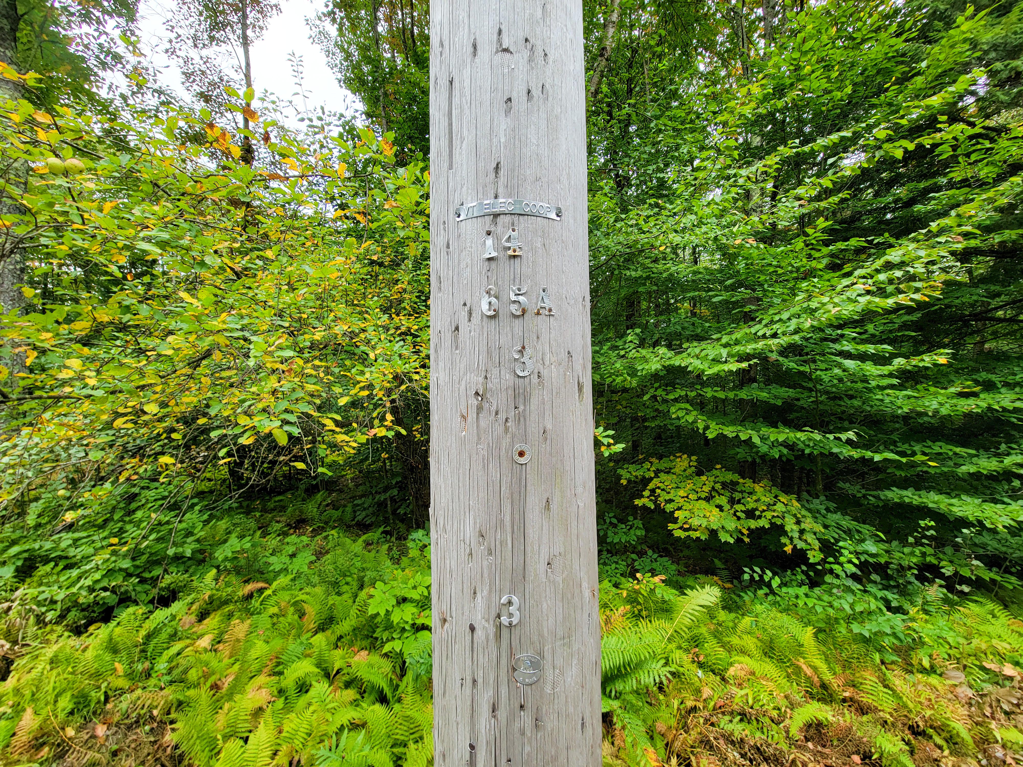Listing Image 57