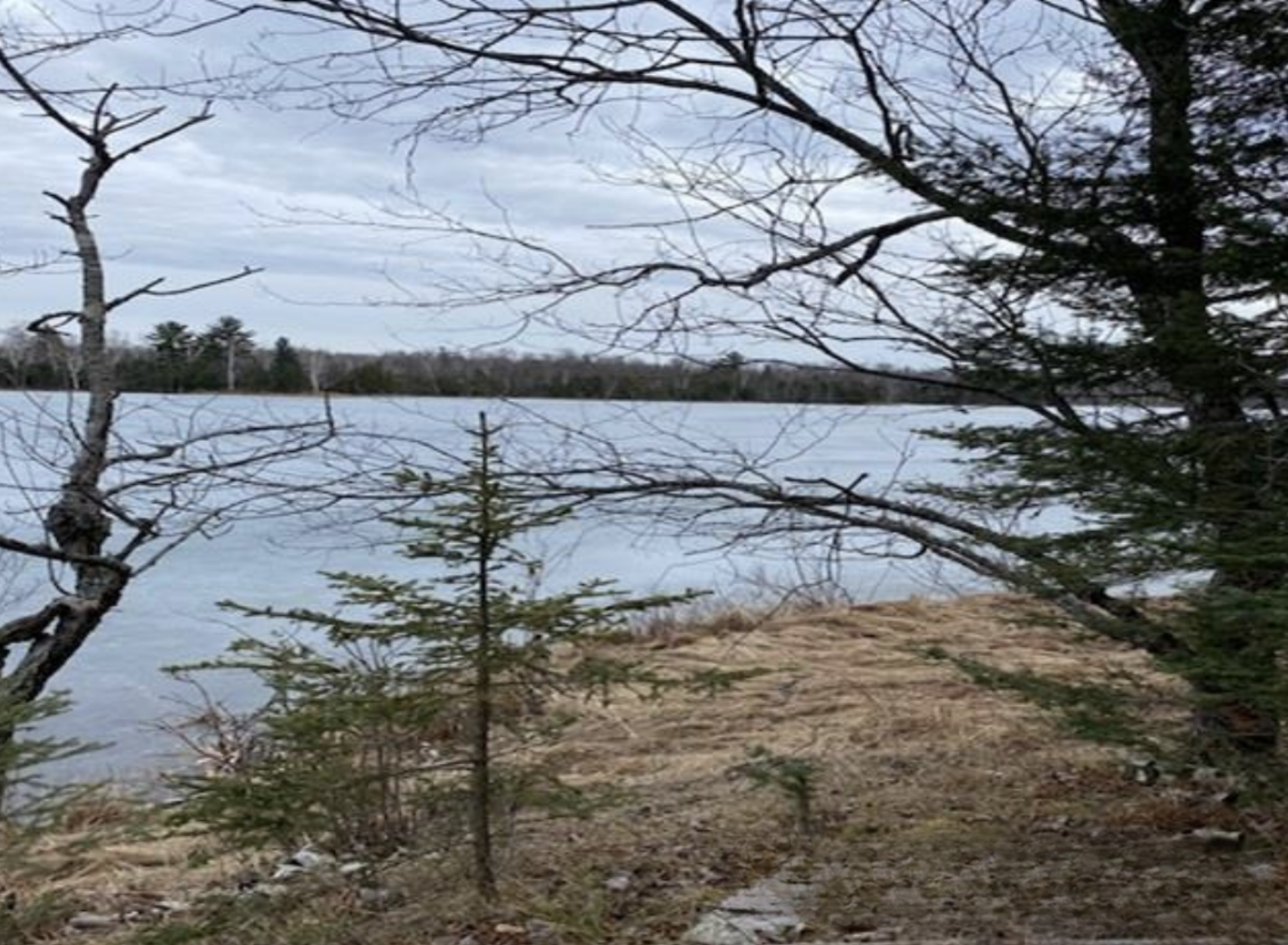 Maggie Lake Retreat 50136074