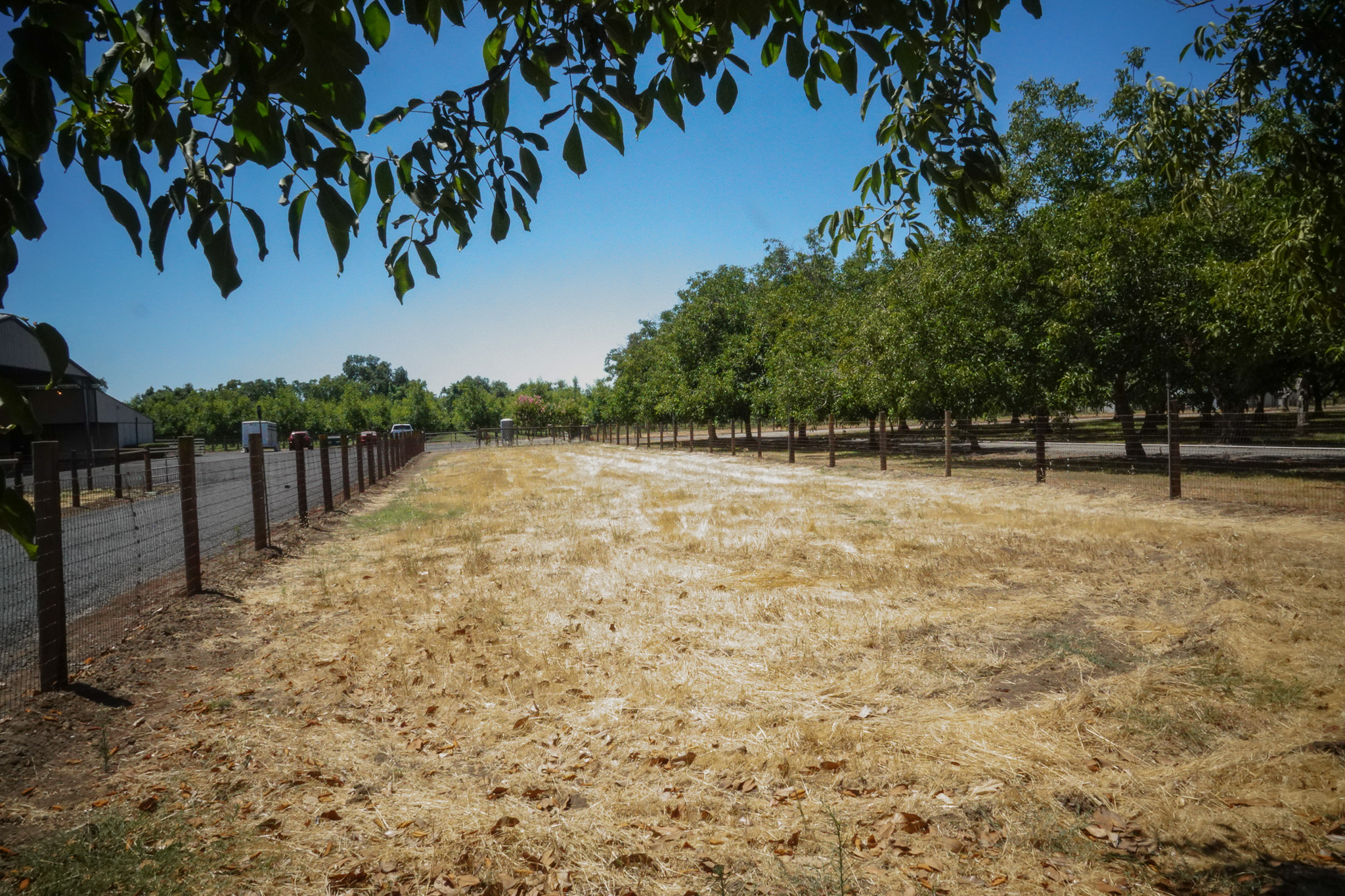 Woodard Ranch