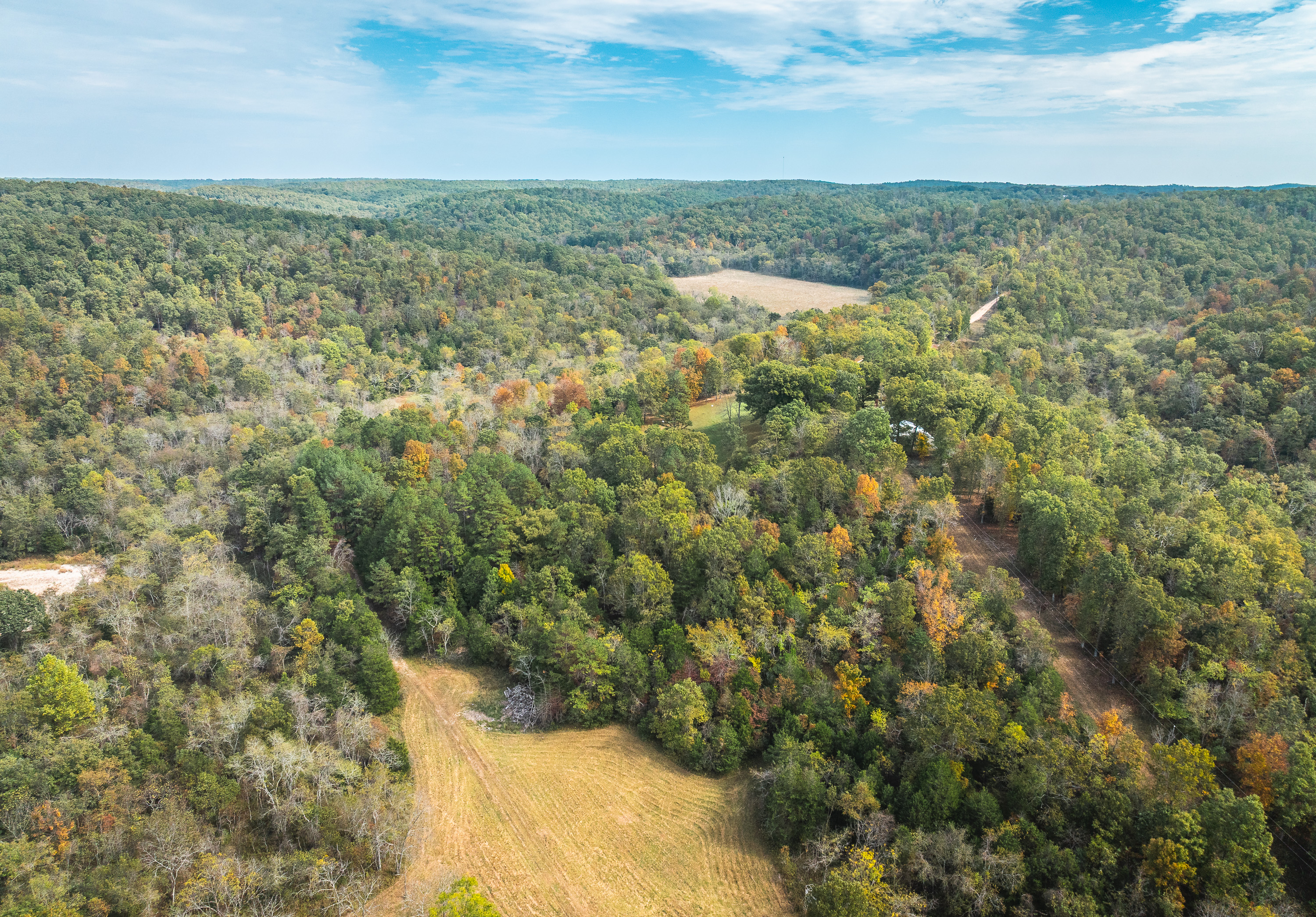 Little Gladden Creek Hunter