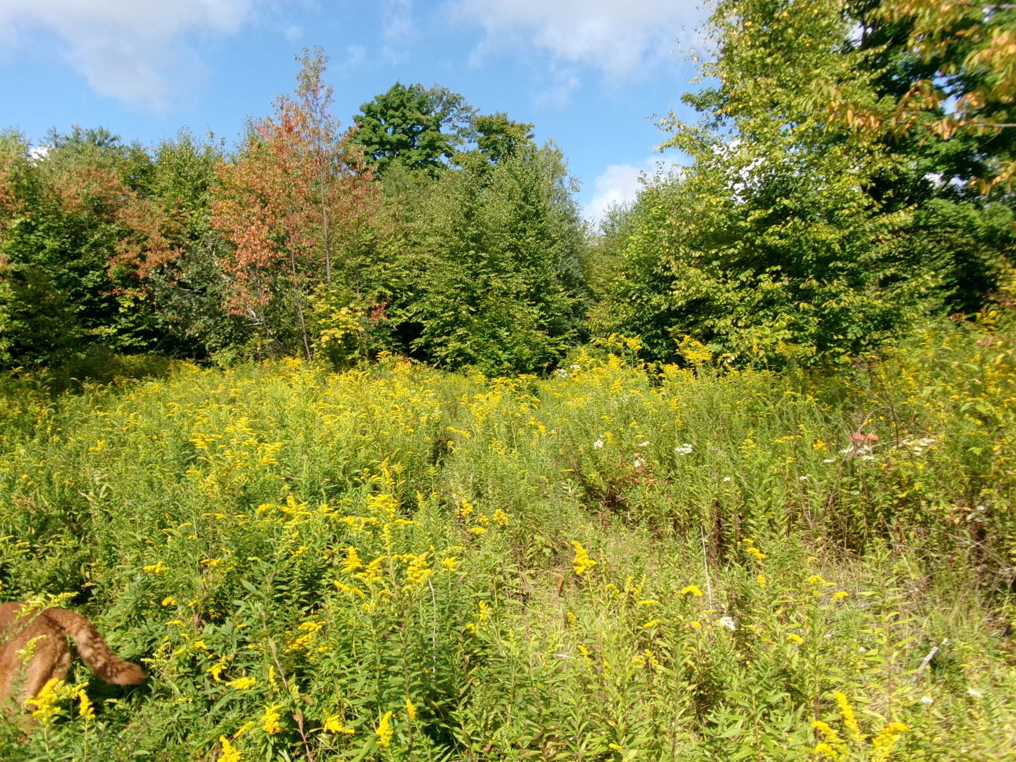 Listing Image 6