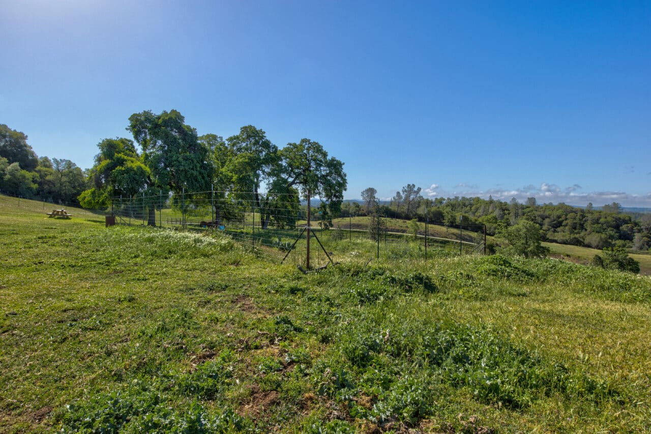 Trembath Mountain Vista