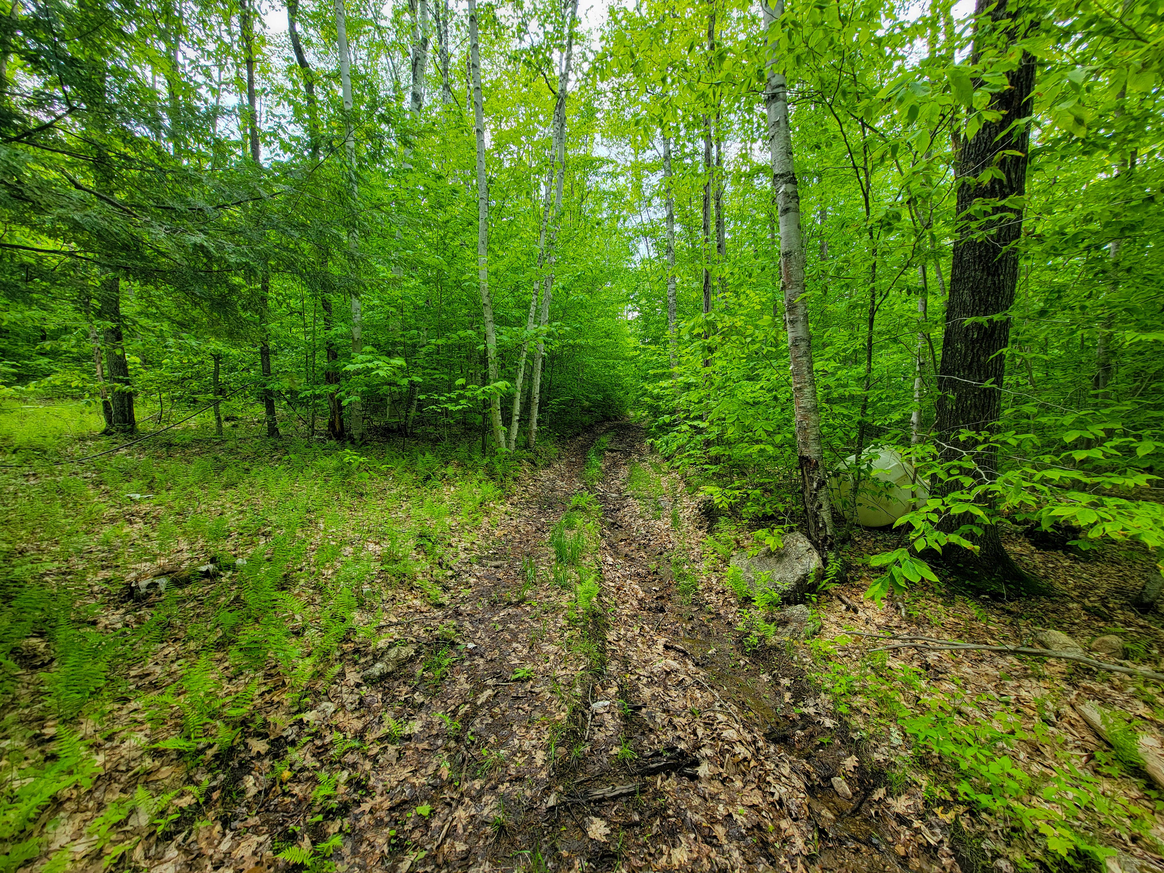 184 Schoolhouse Rd Jamaica