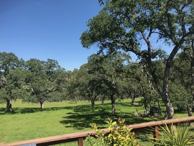 Listing Image 33