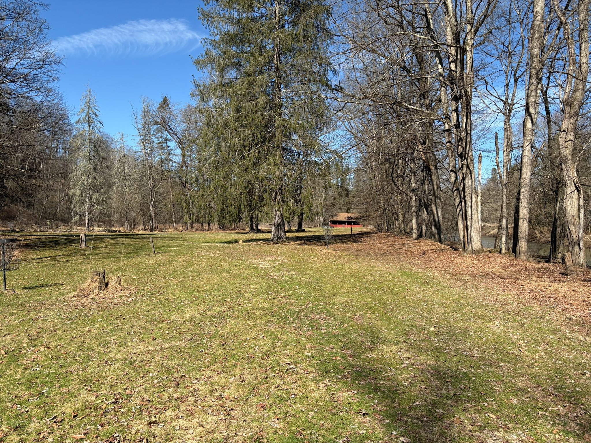 Listing Image 75
