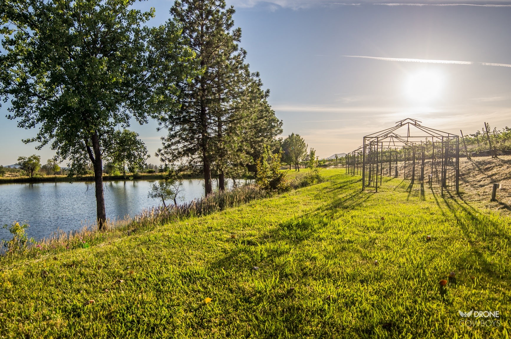 Alger Vineyards and More