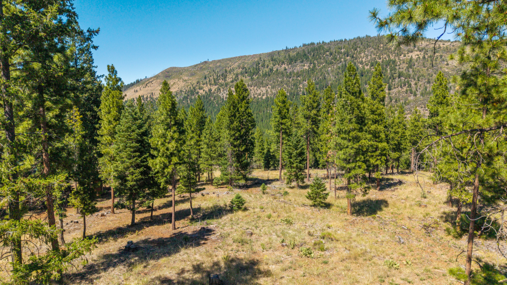 Listing Image 55