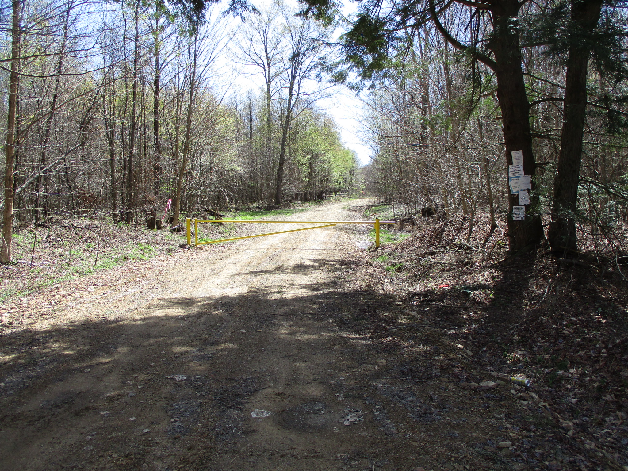 Listing Image 18